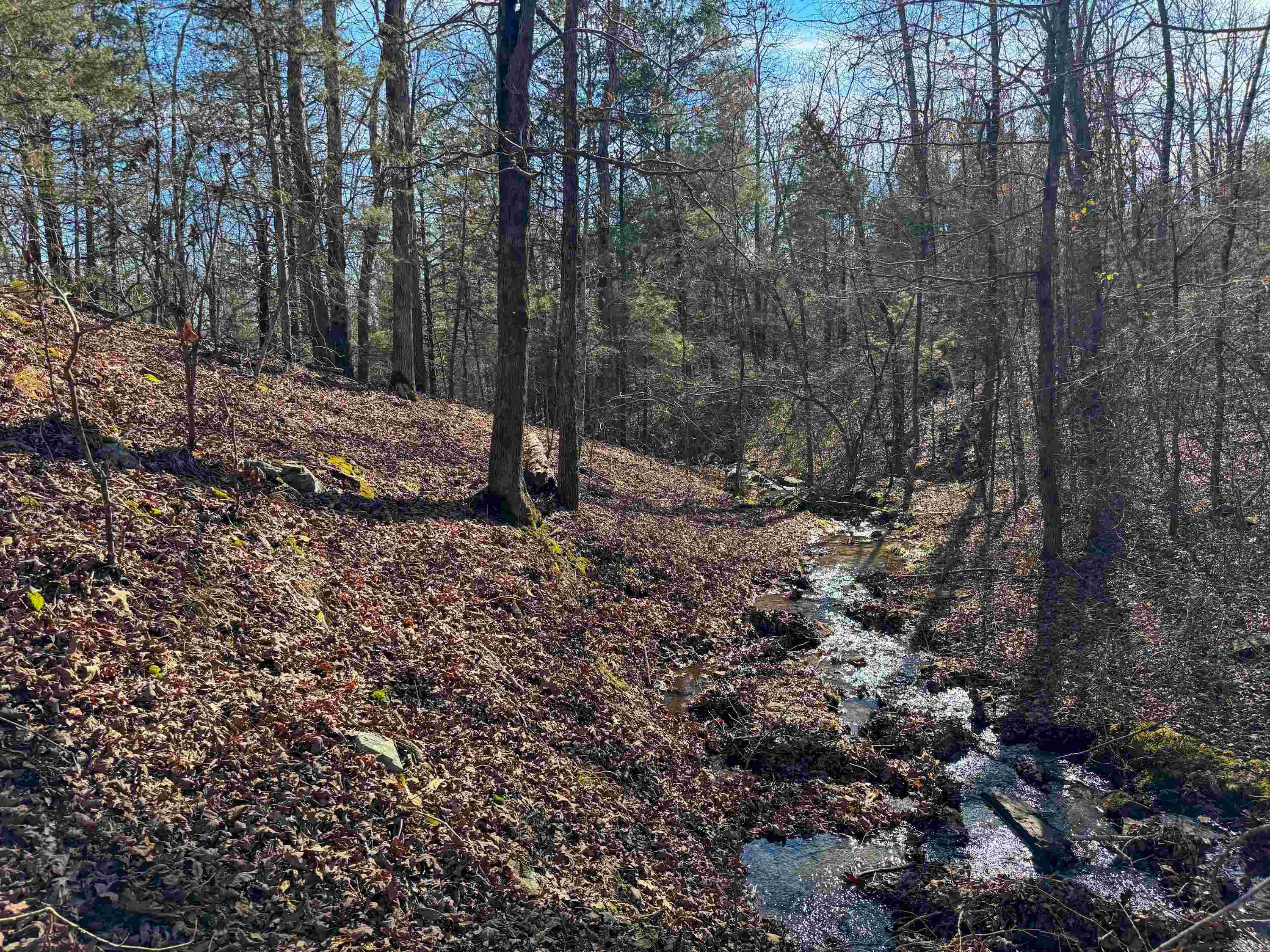 183  Old Springfield  Quitman, AR