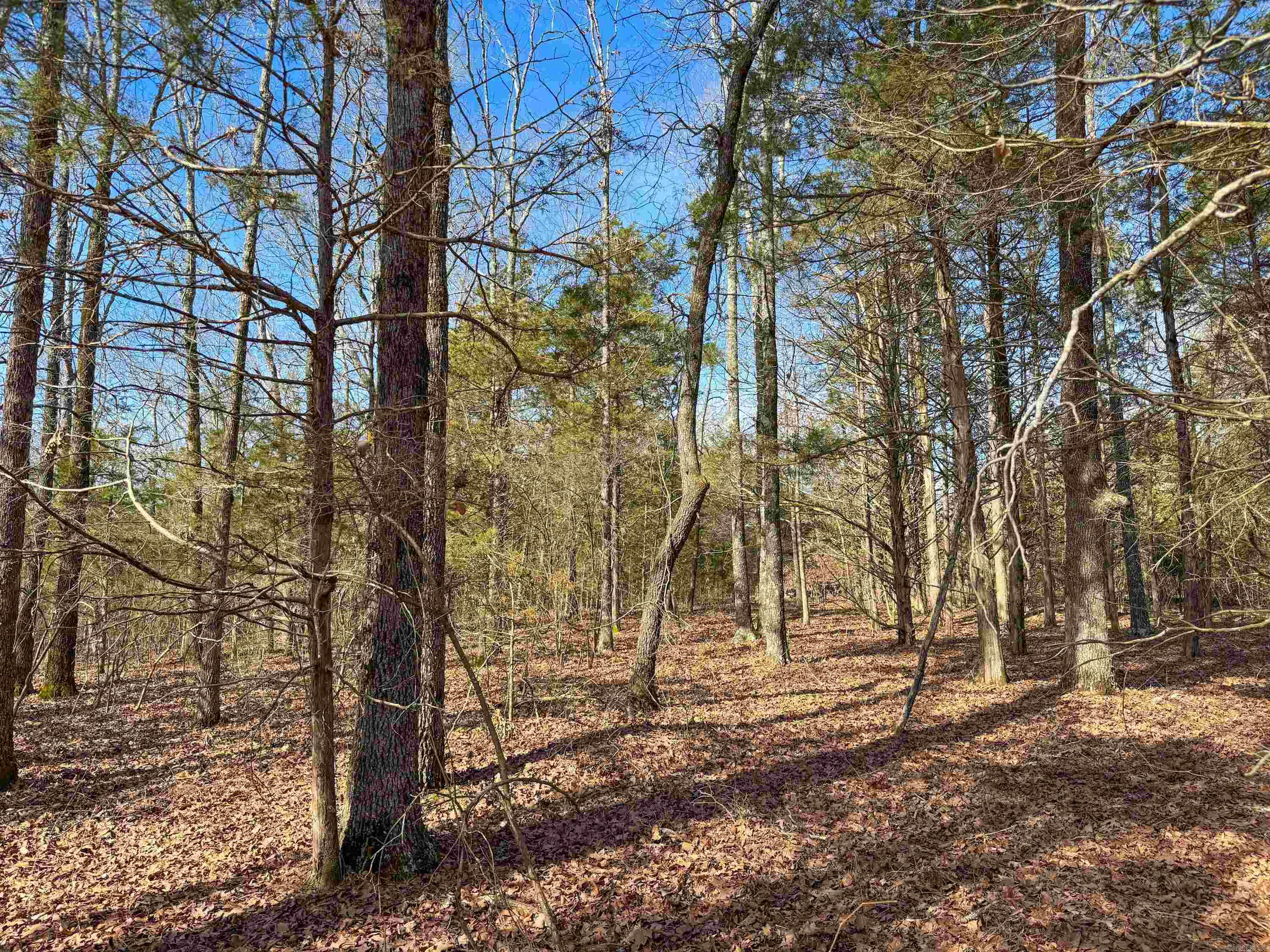 183  Old Springfield  Quitman, AR