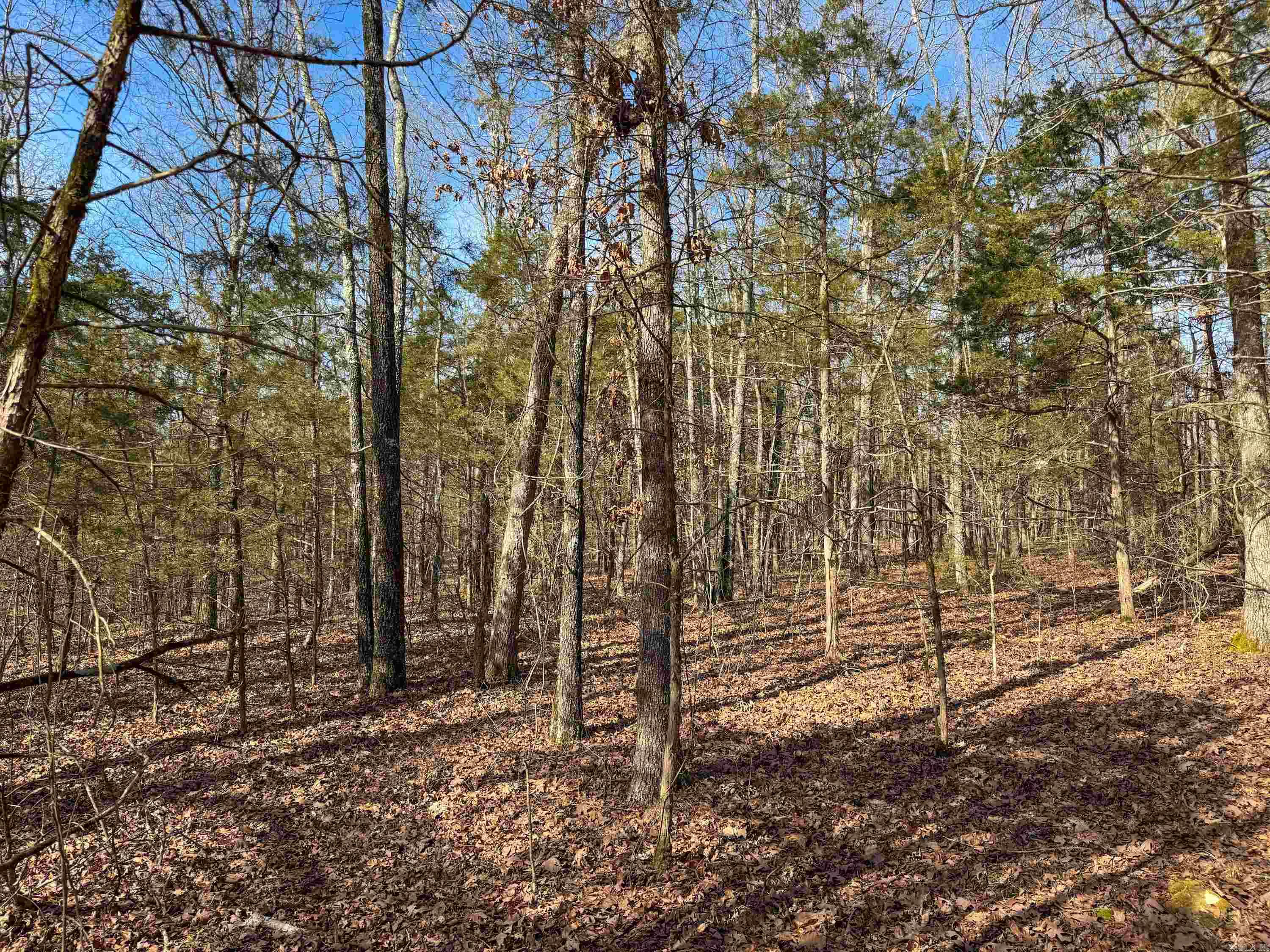 183  Old Springfield  Quitman, AR