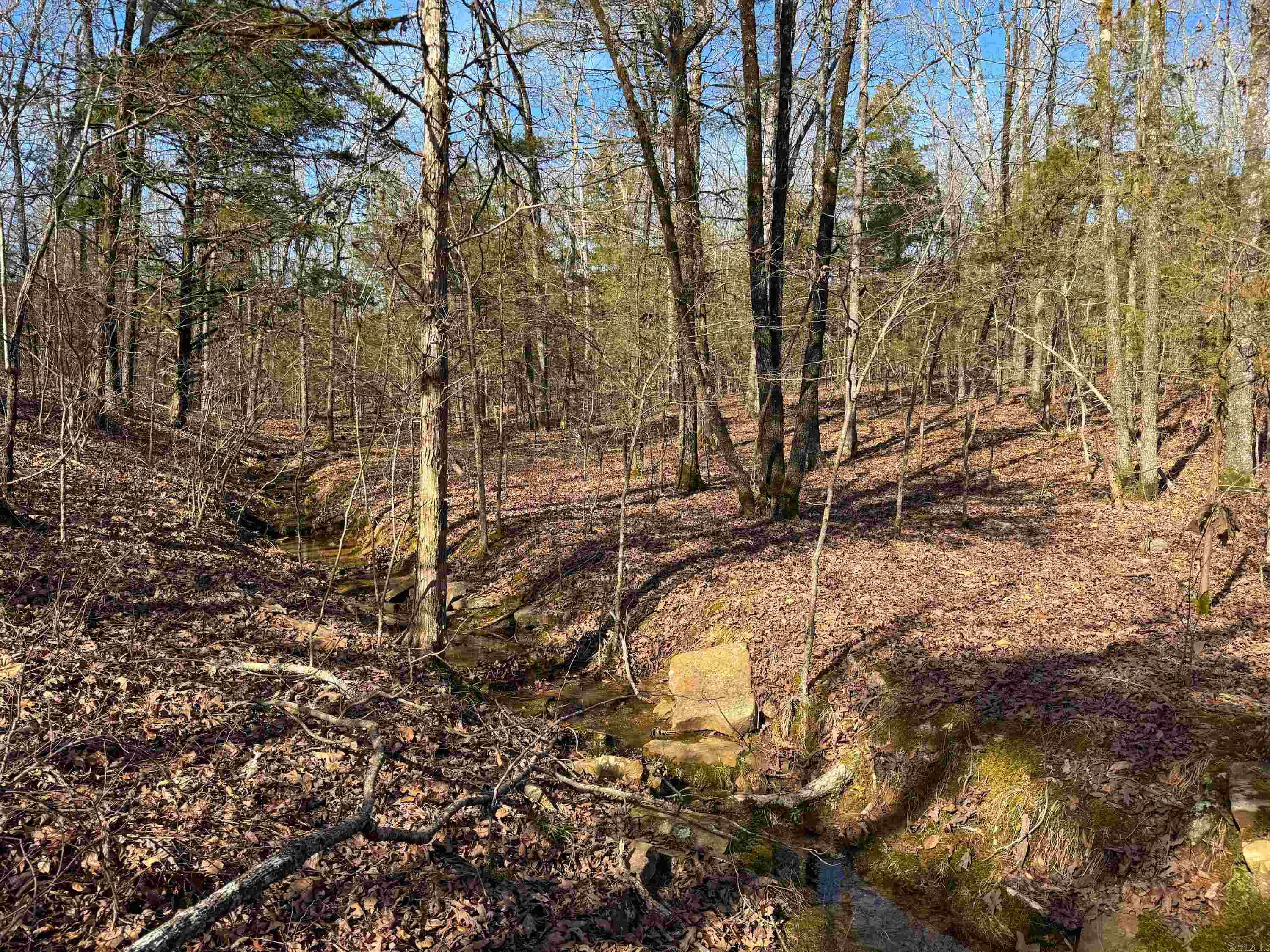 170  Enders  Quitman, AR
