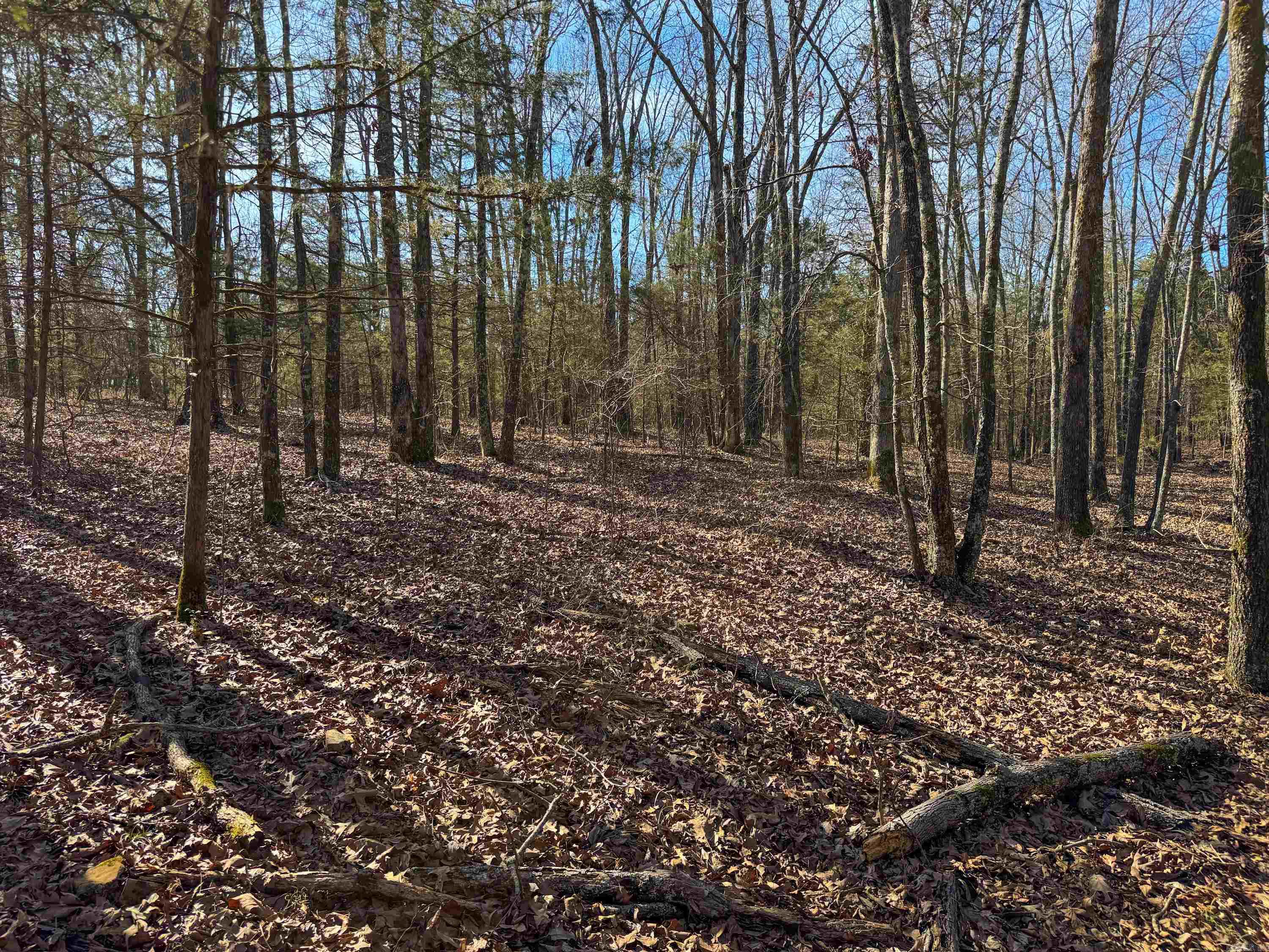 170  Enders  Quitman, AR
