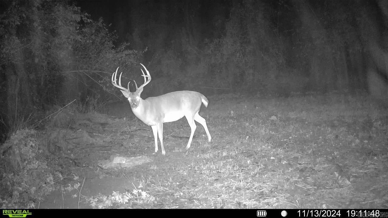 000  Phillips Rd. 547  Elaine, AR