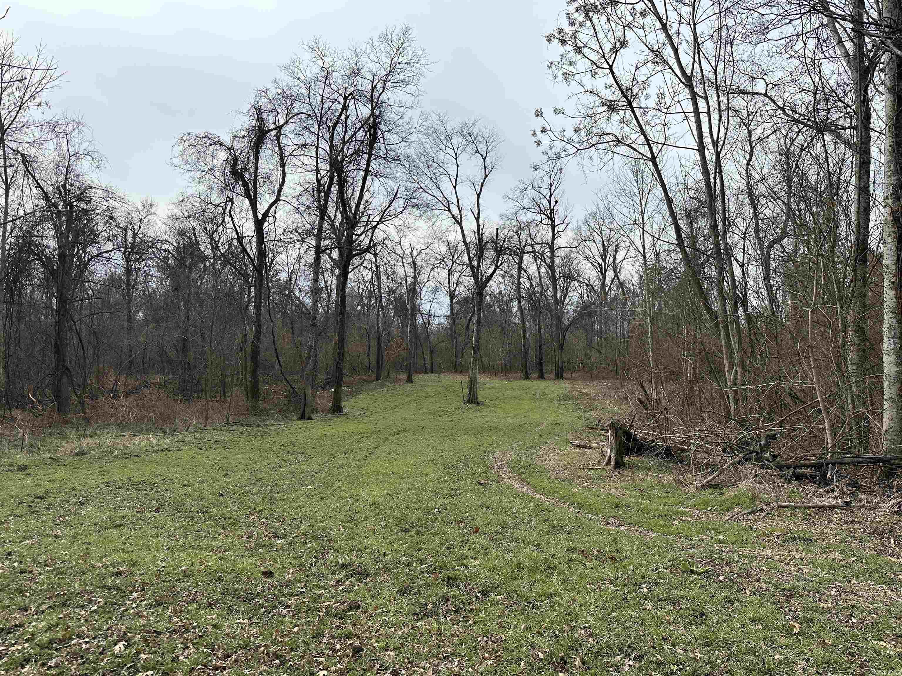 000  Phillips Rd. 547  Elaine, AR