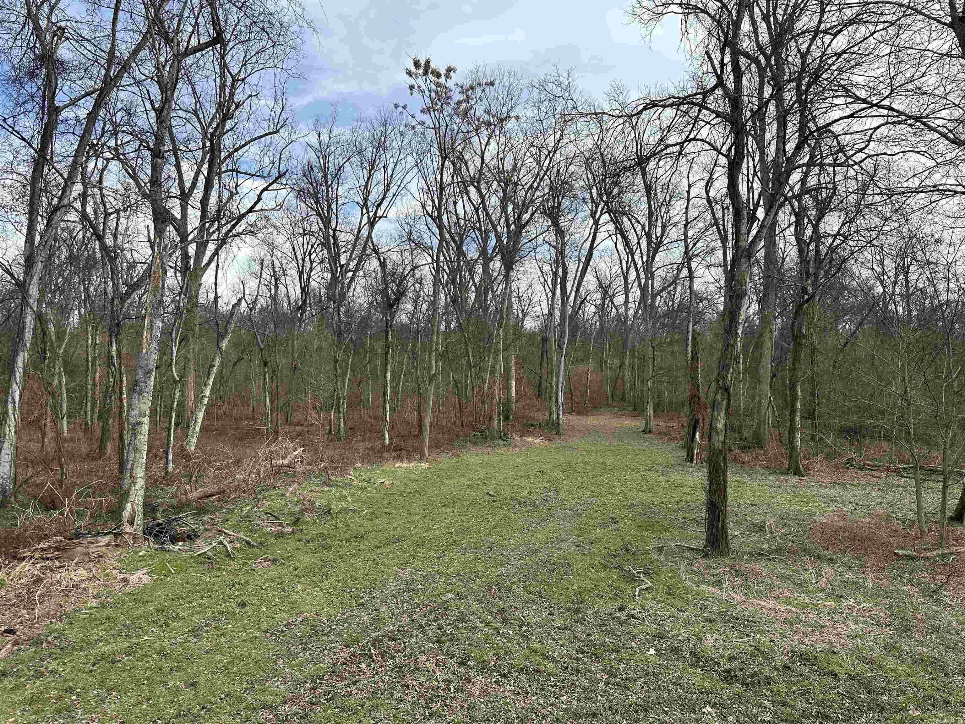 000  Phillips Rd. 547  Elaine, AR