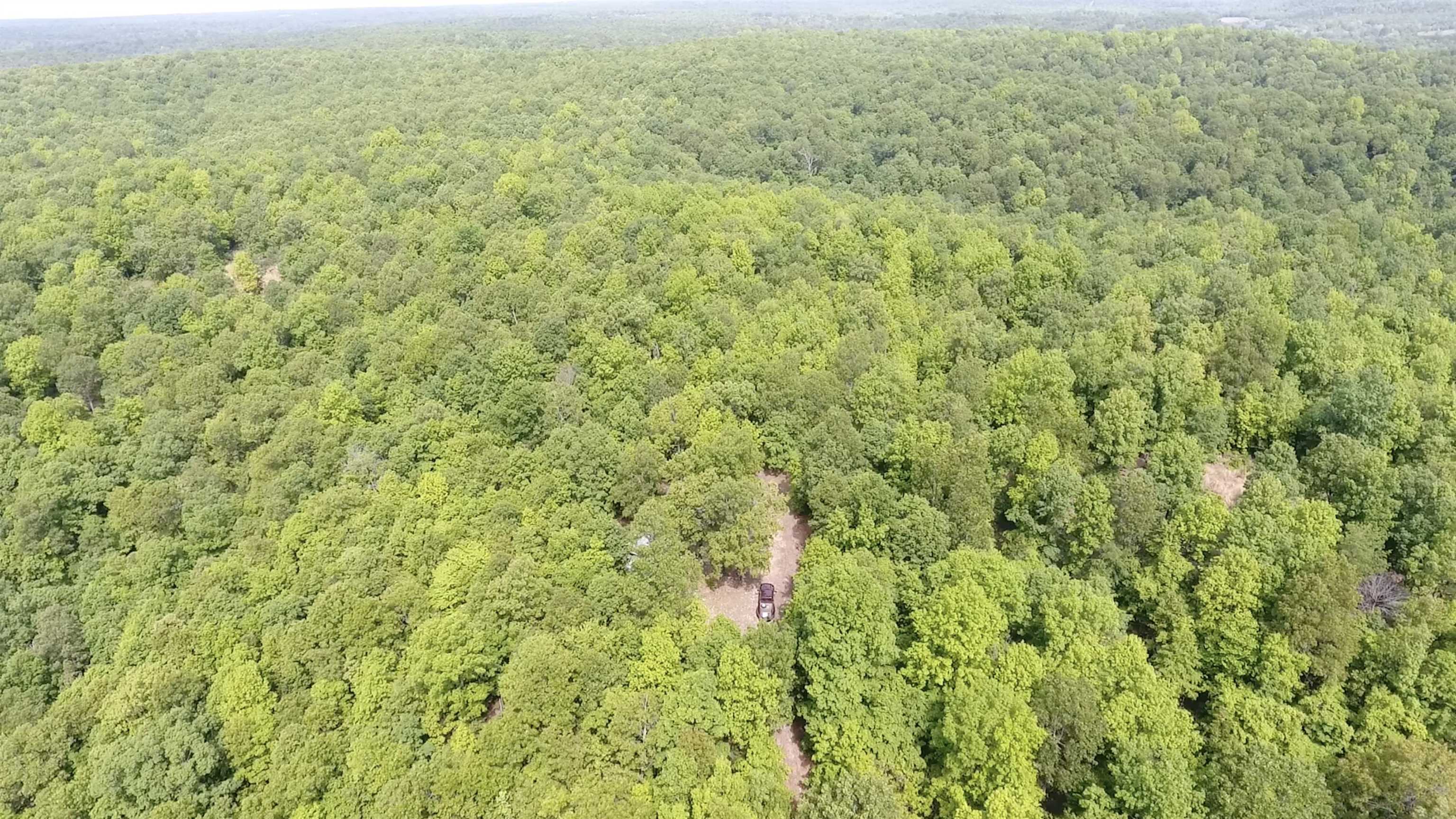 10824  Upper Janes Creek Road  Ravenden, AR