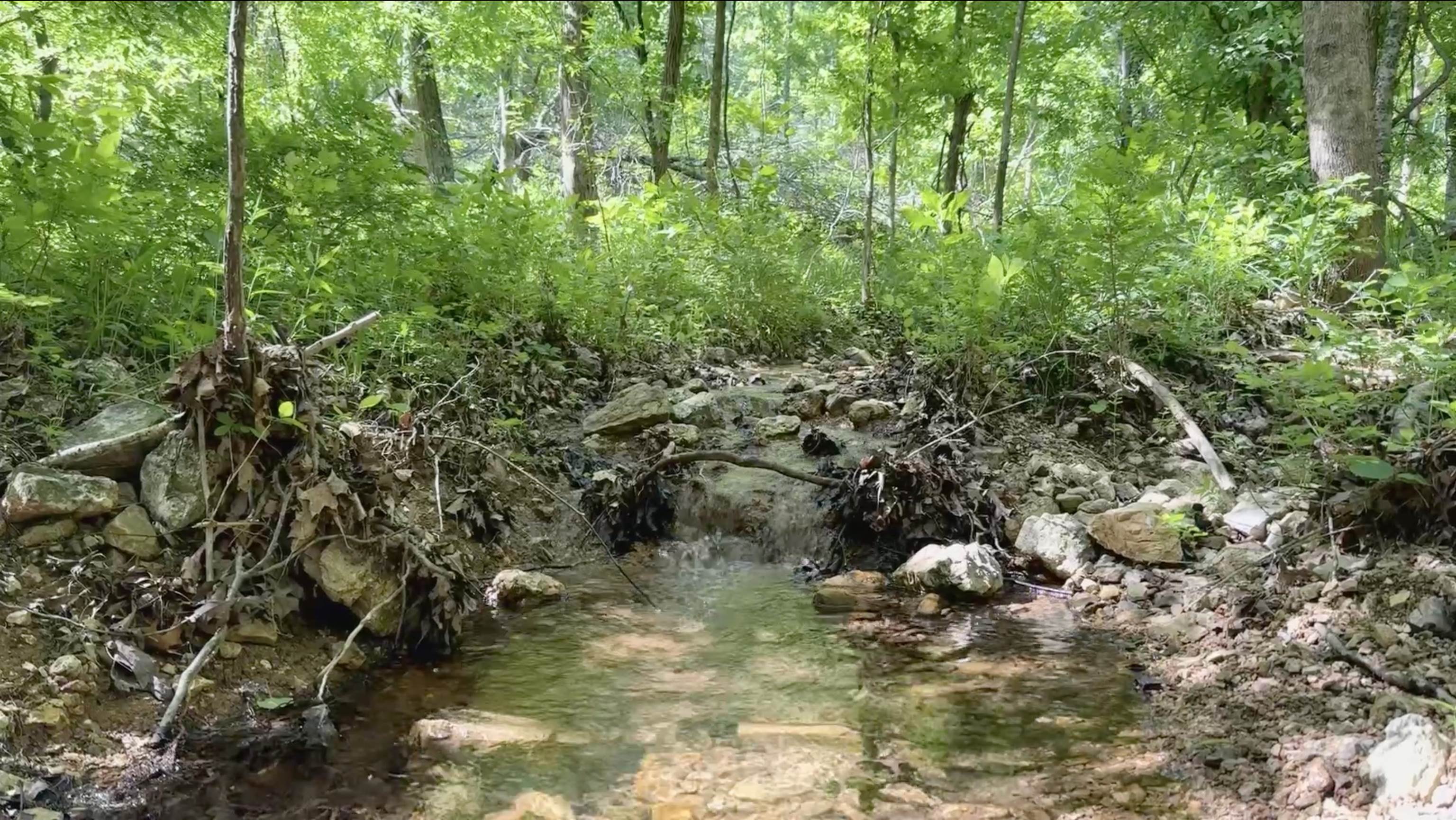 10824  Upper Janes Creek Road  Ravenden, AR
