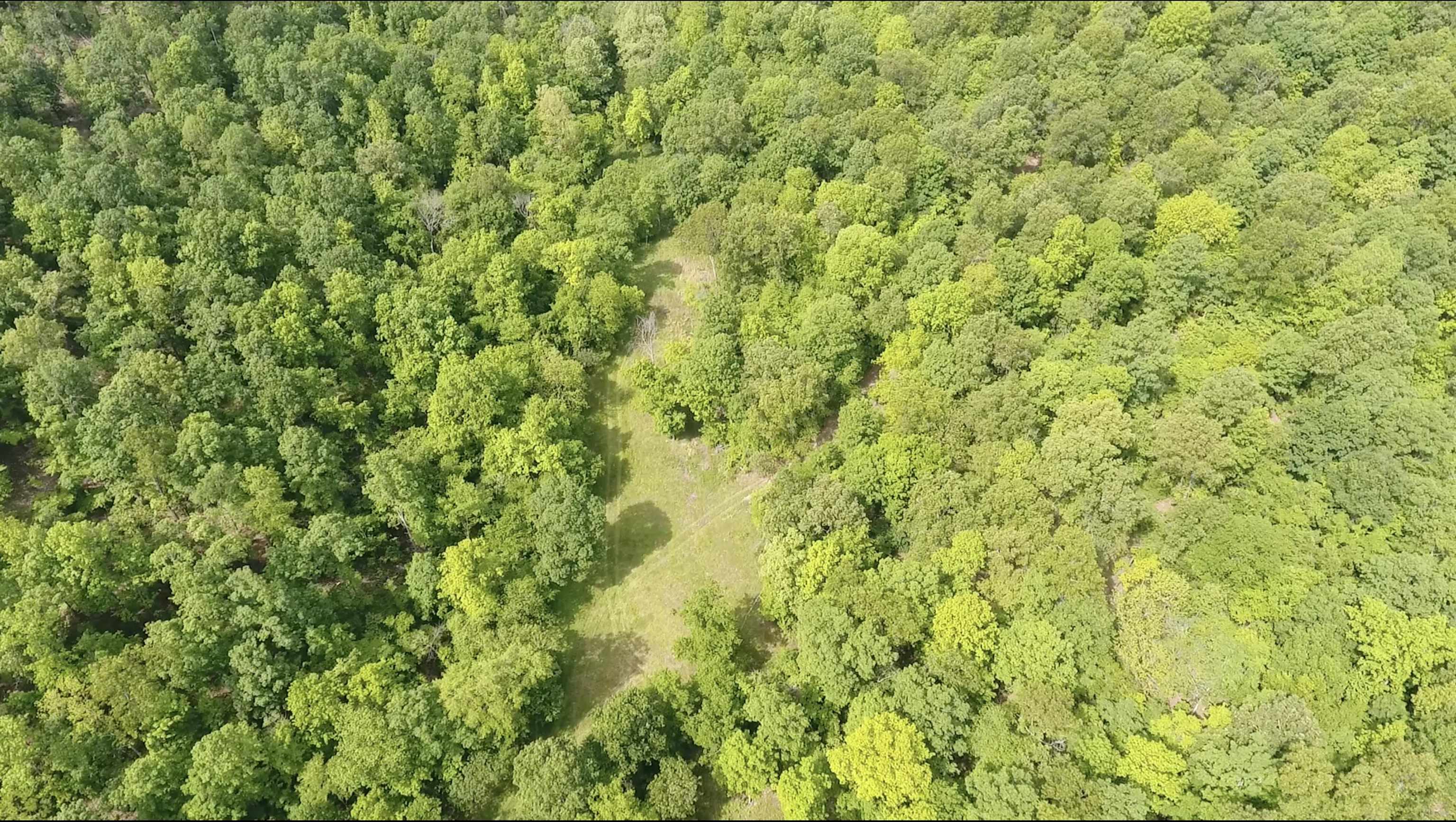 10824  Upper Janes Creek Road  Ravenden, AR