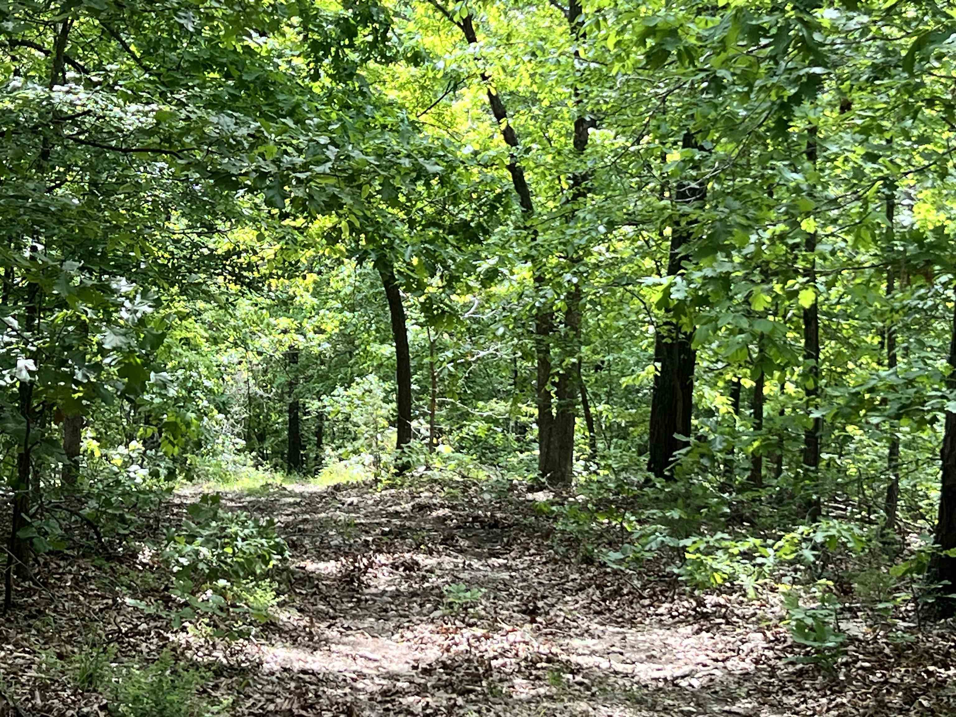 10824  Upper Janes Creek Road  Ravenden, AR