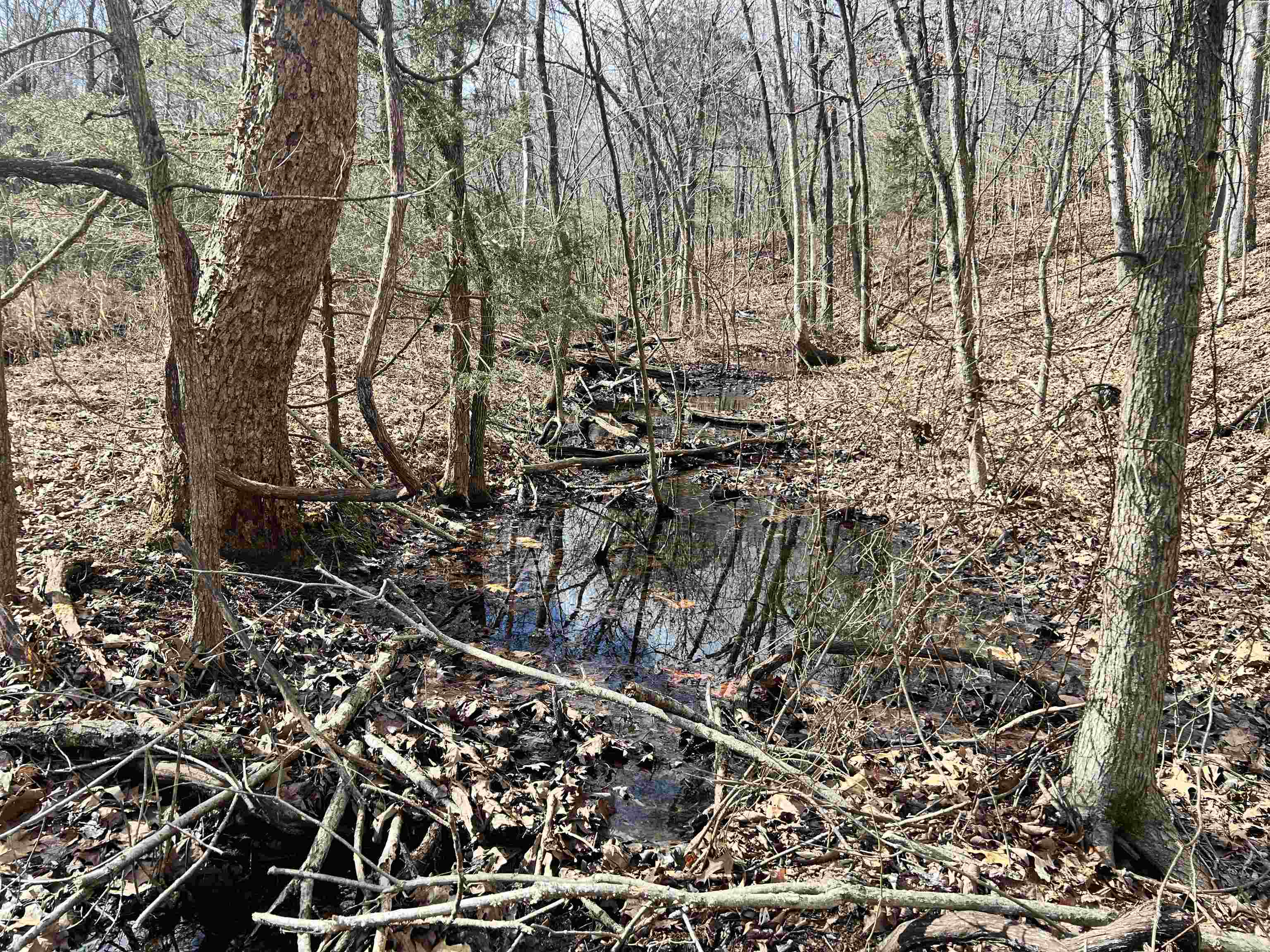 10824  Upper Janes Creek Road  Ravenden, AR