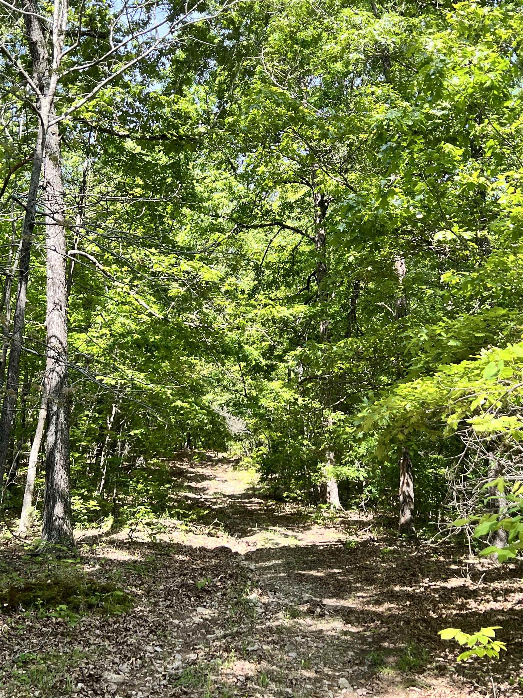 10824  Upper Janes Creek Road  Ravenden, AR
