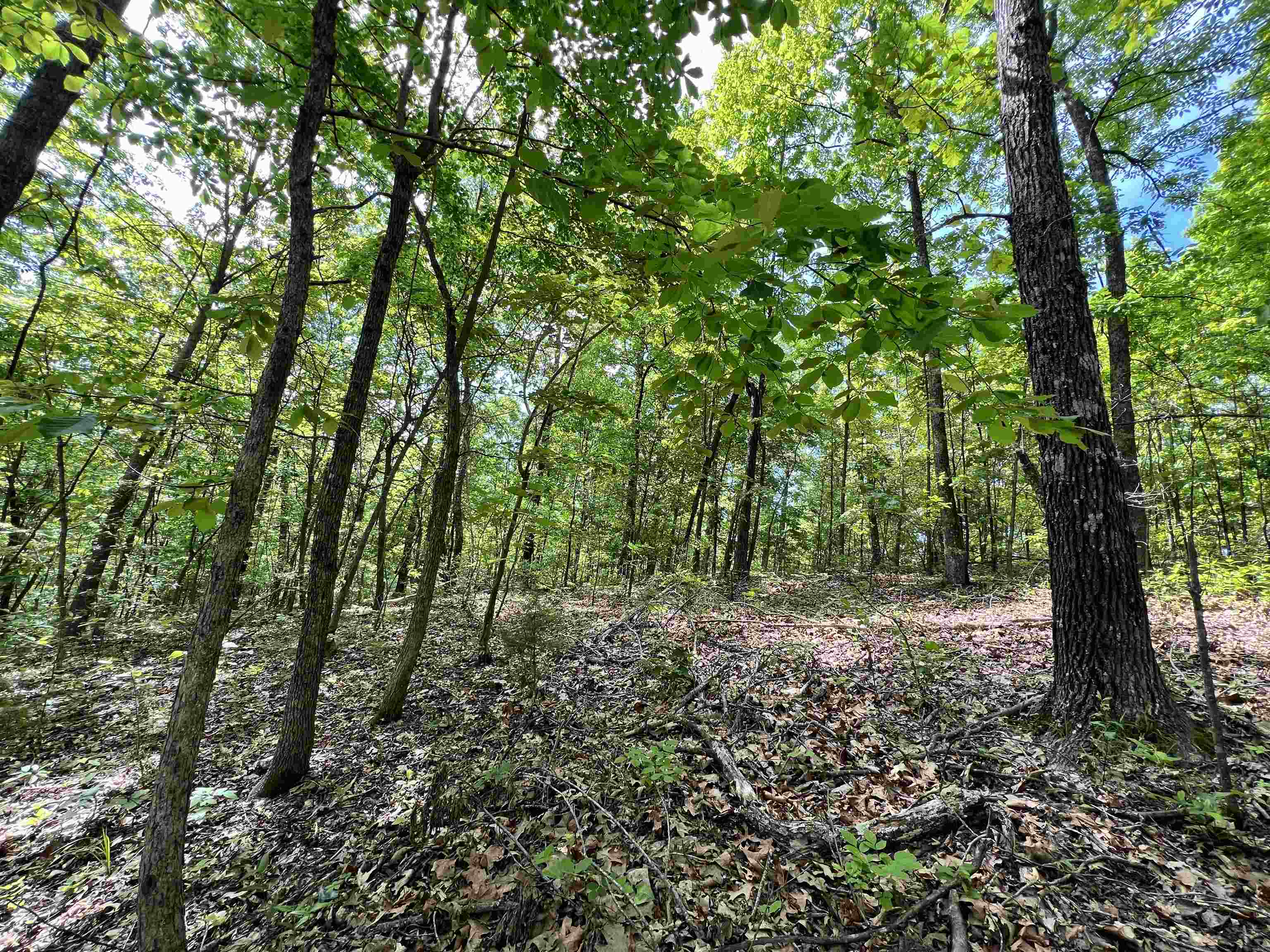 10824  Upper Janes Creek Road  Ravenden, AR