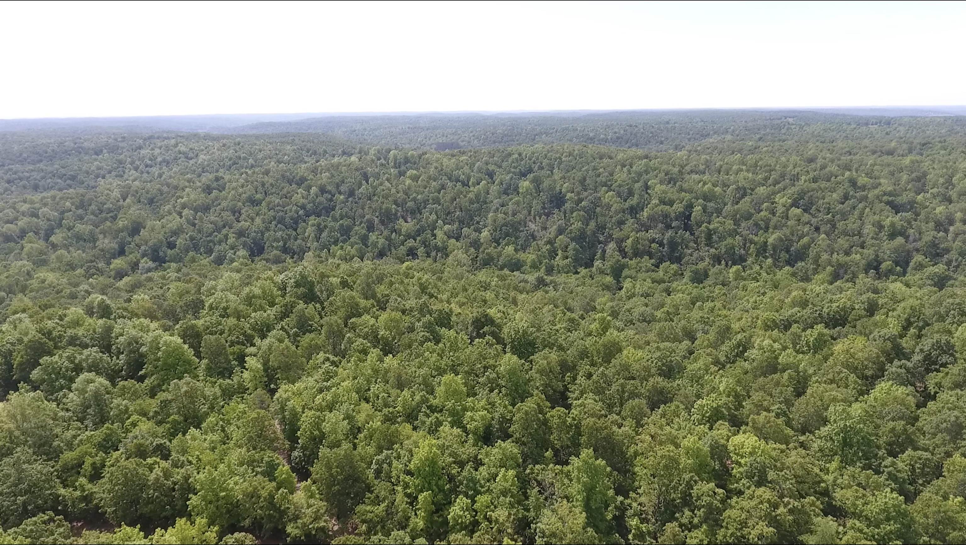 10824  Upper Janes Creek Road  Ravenden, AR