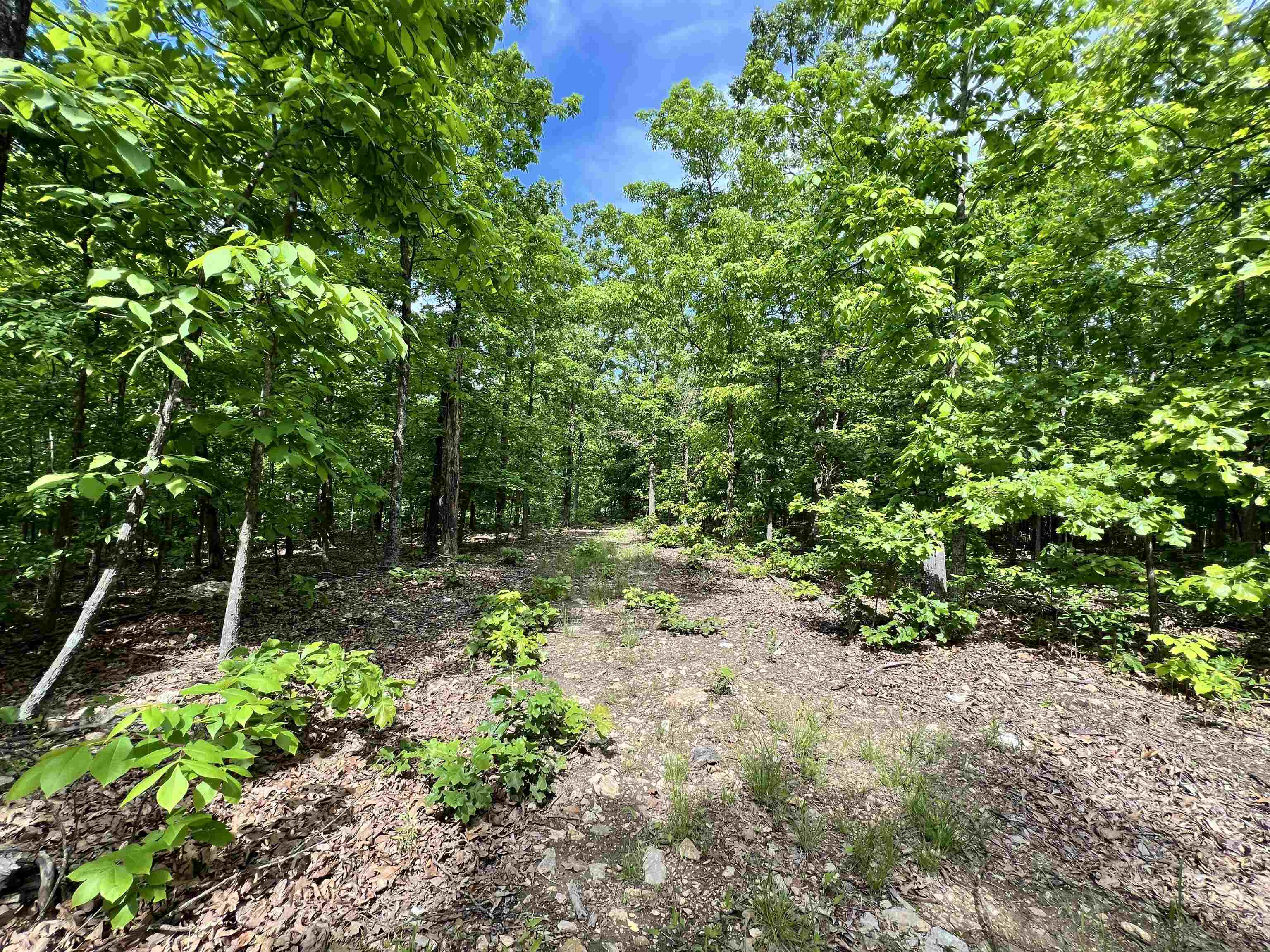 10824  Upper Janes Creek Road  Ravenden, AR