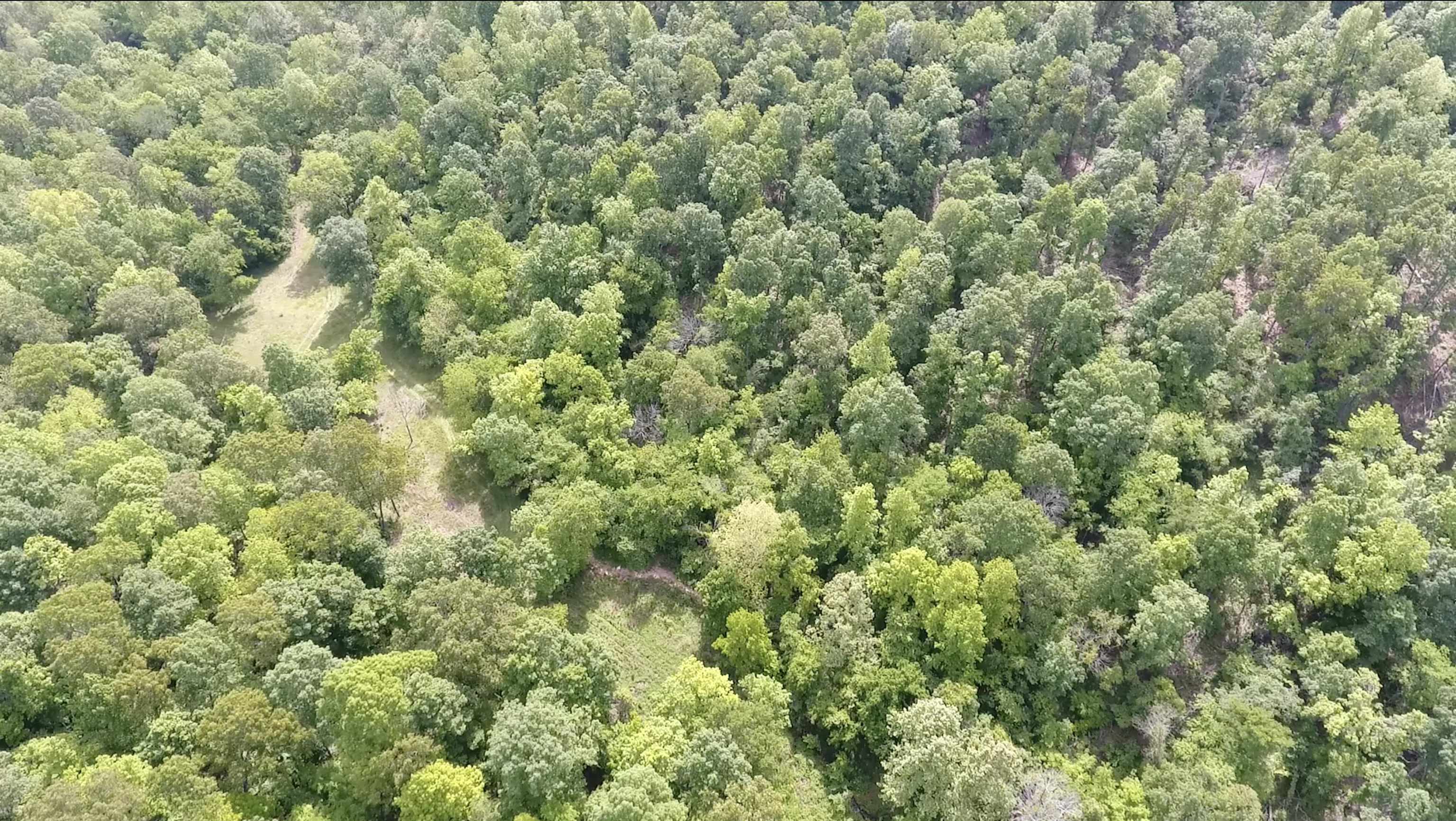 10824  Upper Janes Creek Road  Ravenden, AR