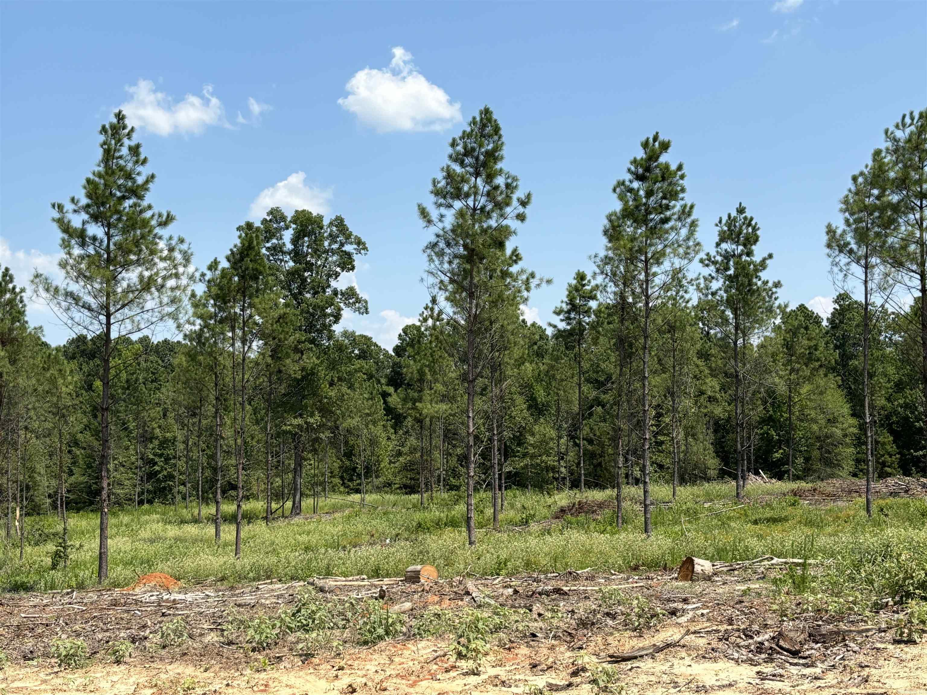 0  Grant 43 (B)  Sheridan, AR