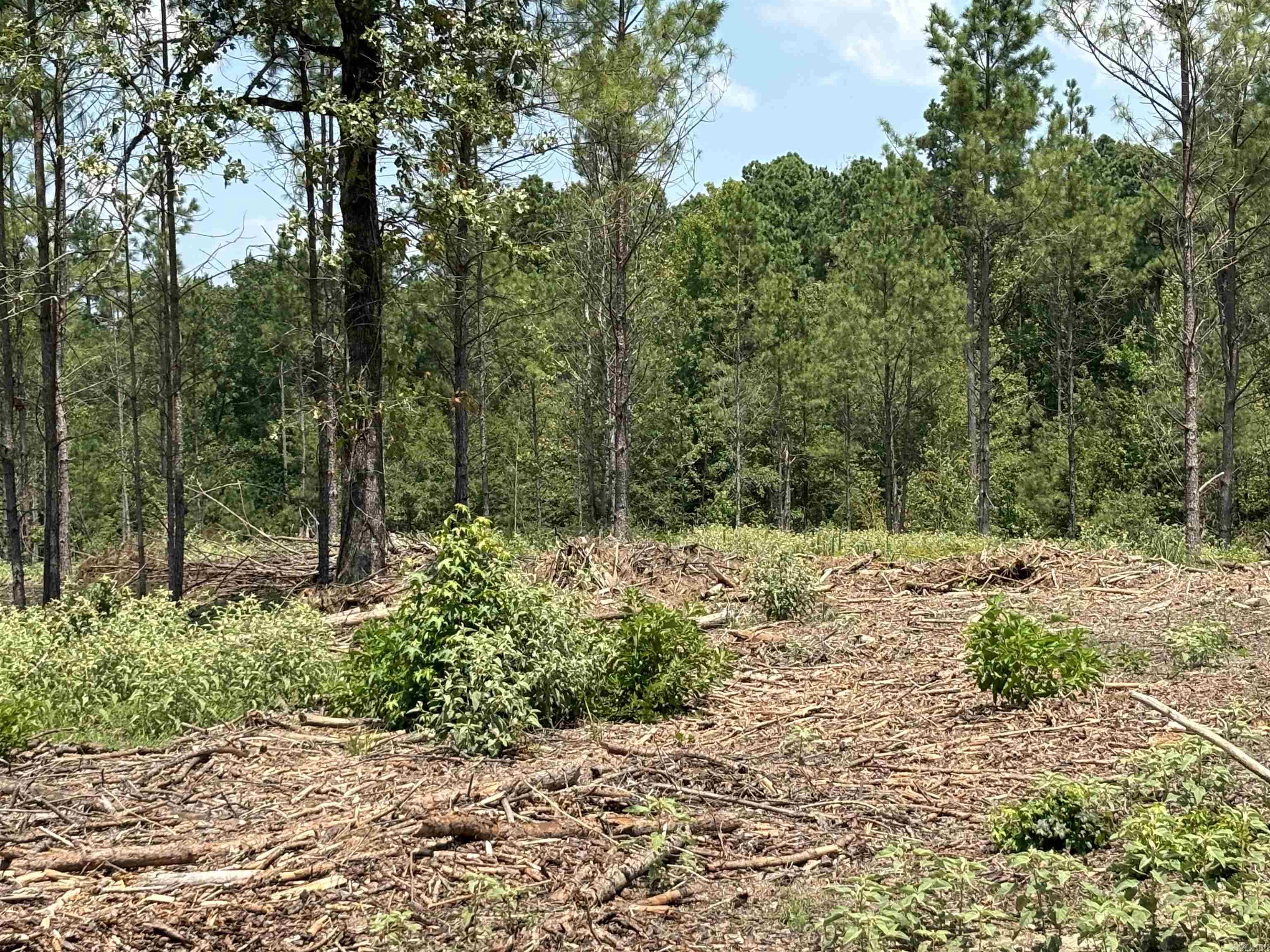 0  Grant 43 (B)  Sheridan, AR