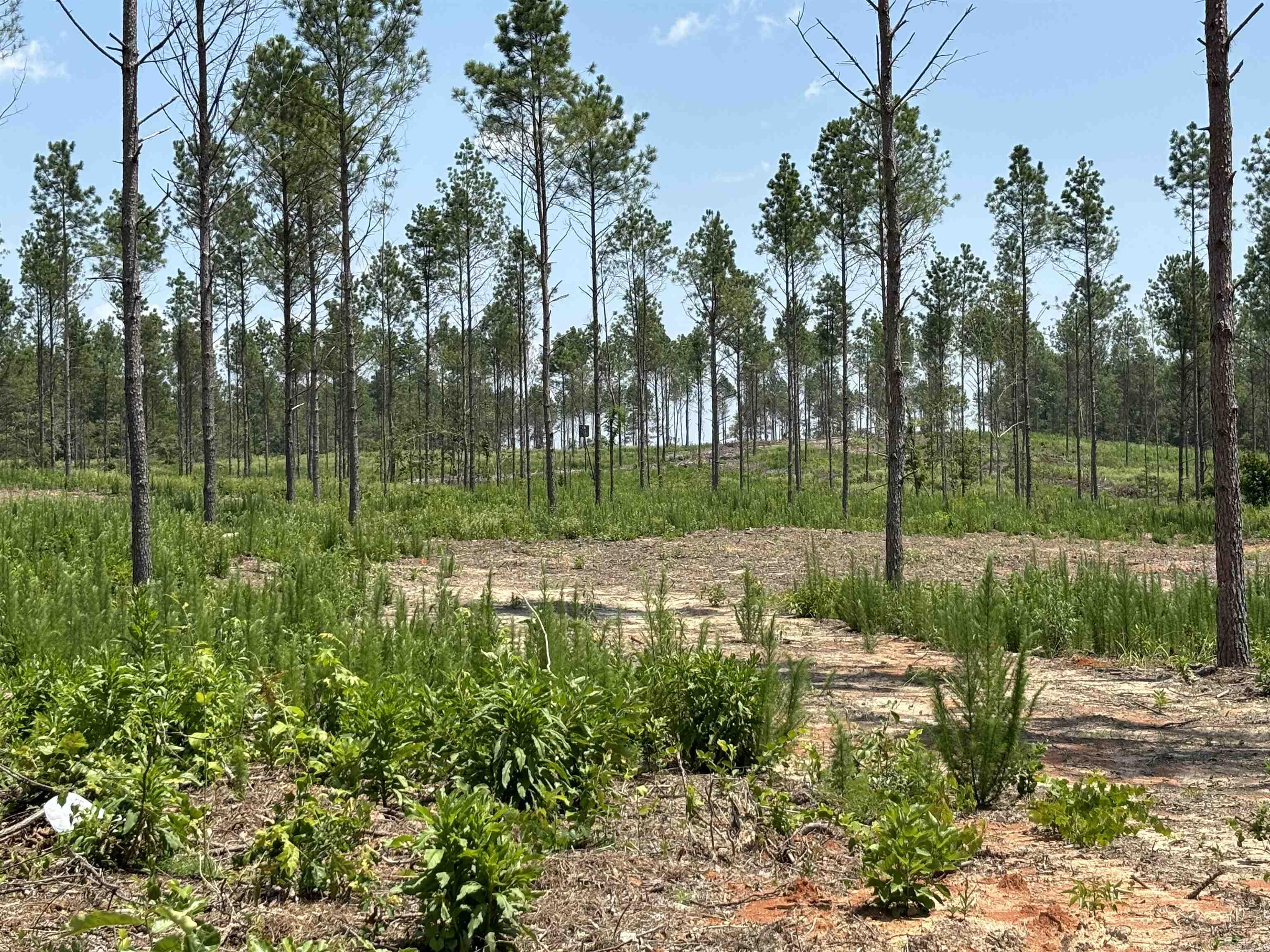 0  Grant 43 (E)  Sheridan, AR