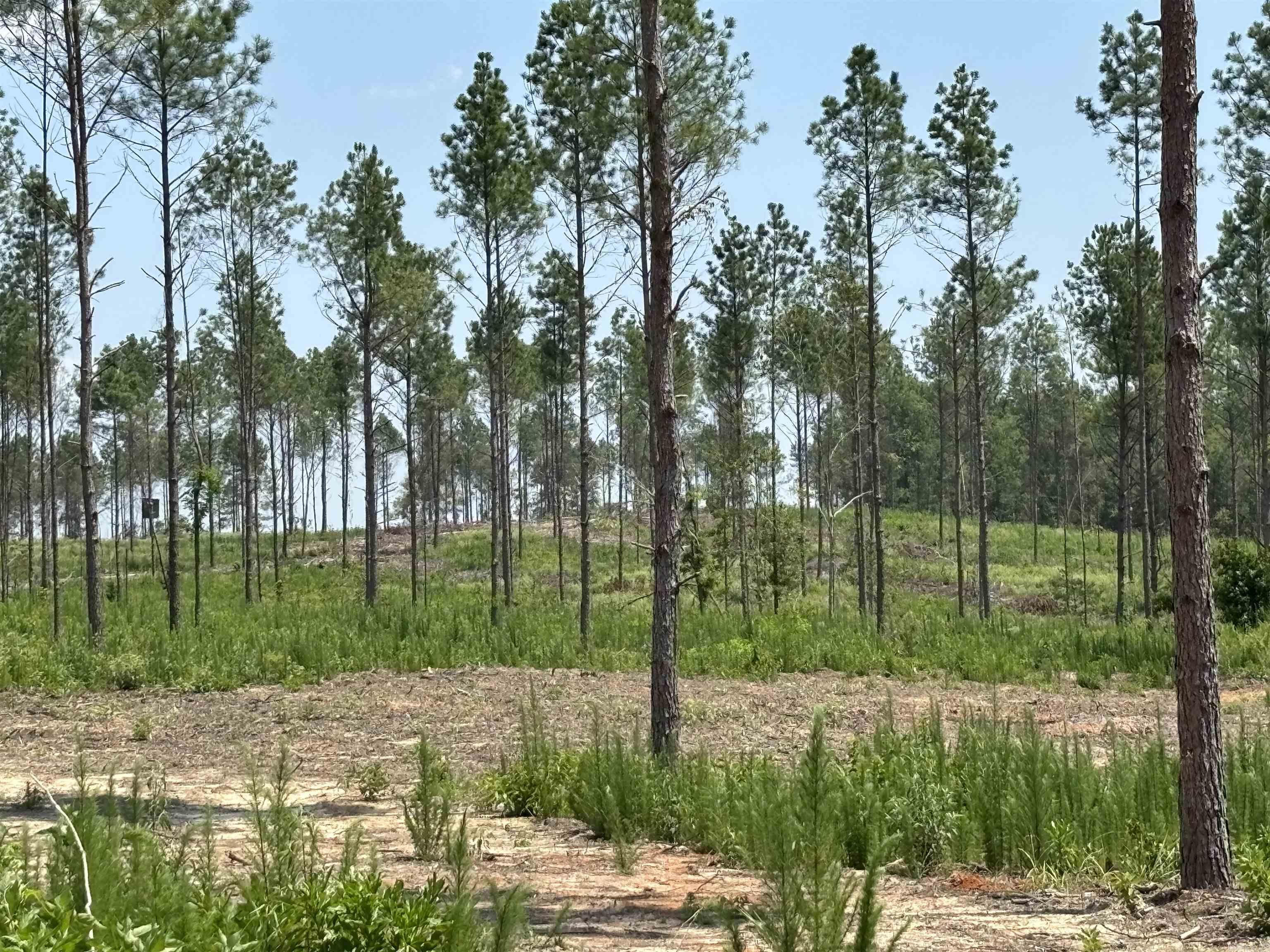 0  Grant 43 (E)  Sheridan, AR
