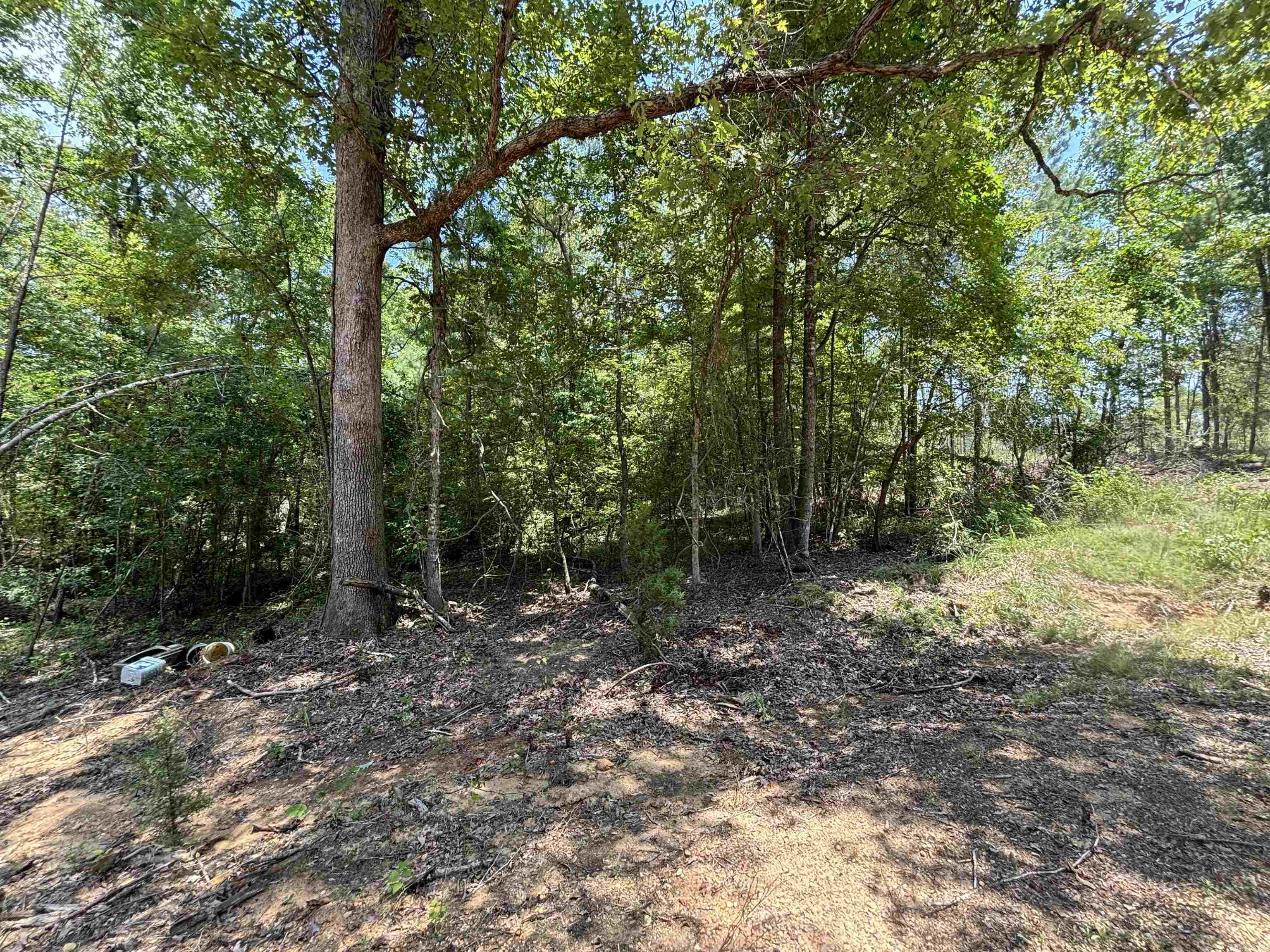 0  Grant 43 (F)  Sheridan, AR