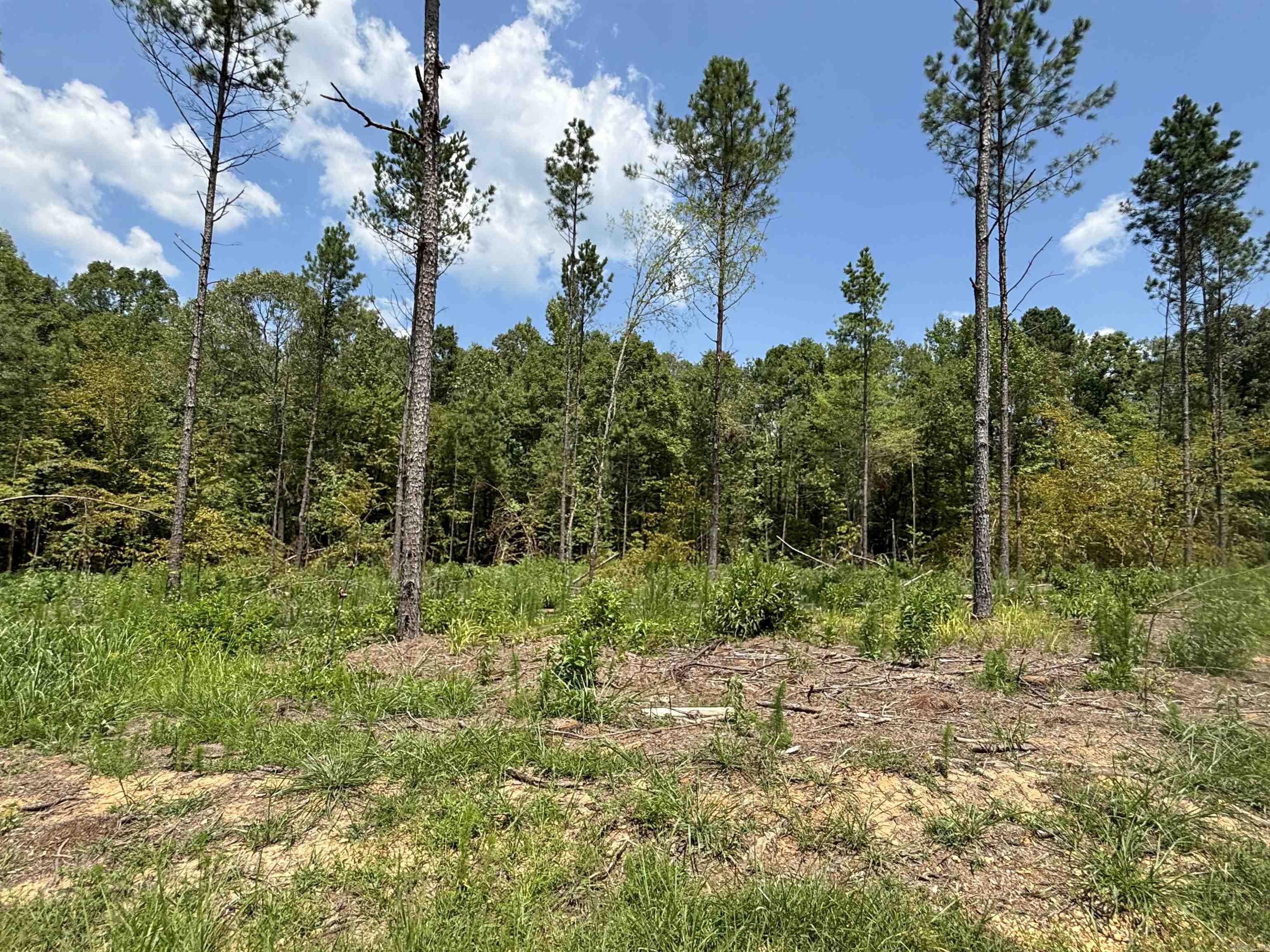 0  Grant 43 (F)  Sheridan, AR