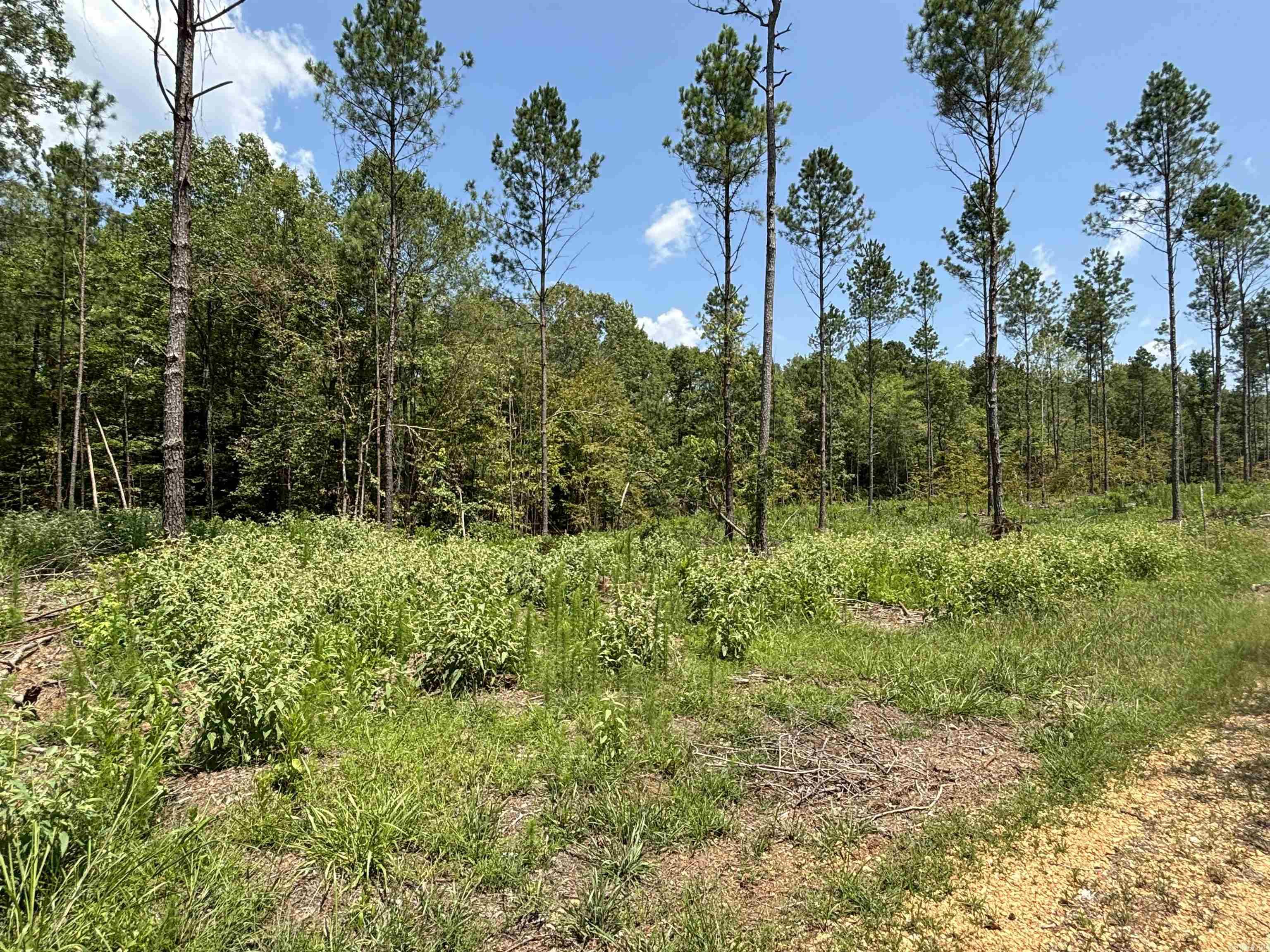 0  Grant 43 (F)  Sheridan, AR