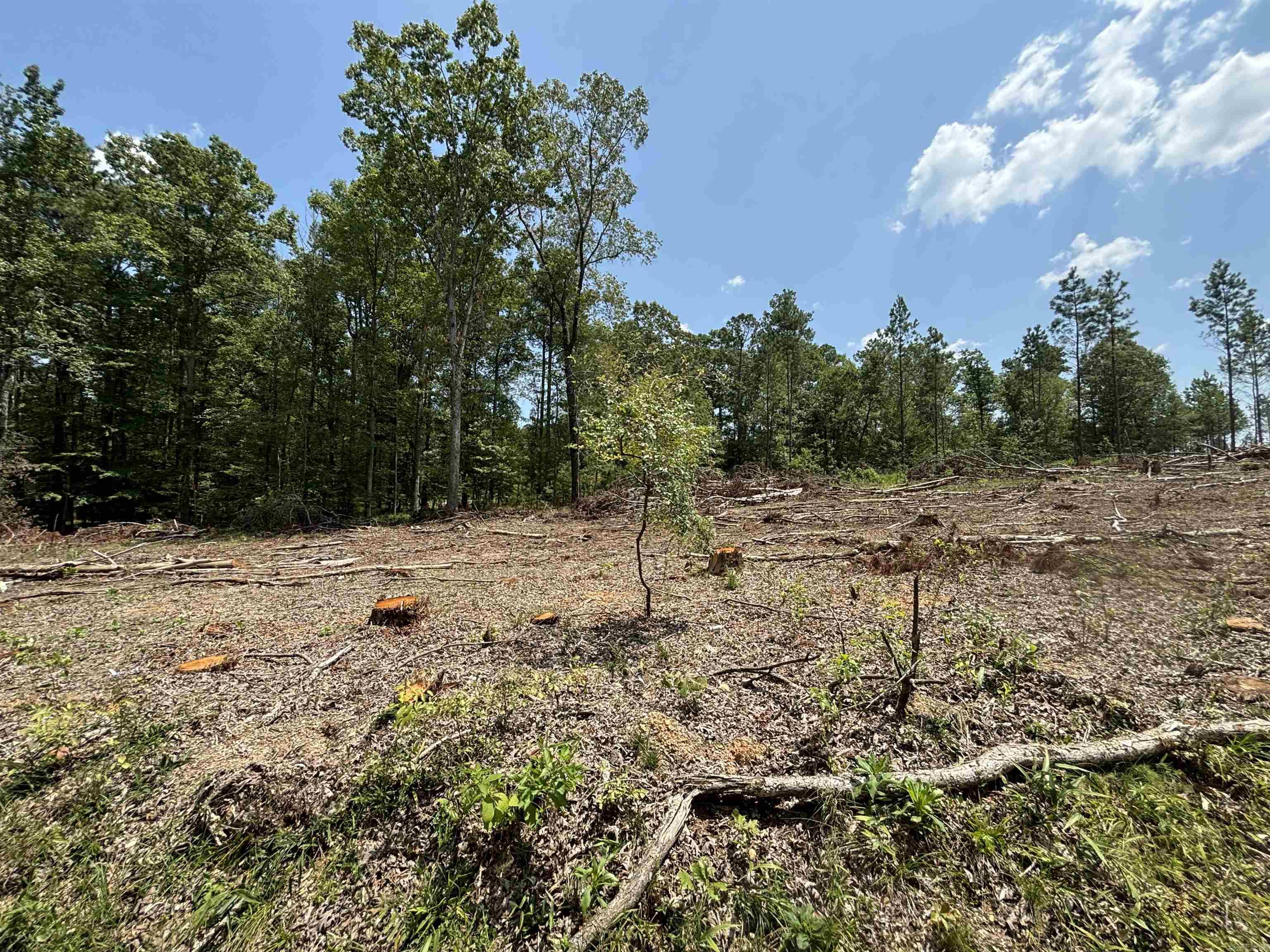 0  Grant 43 (F)  Sheridan, AR