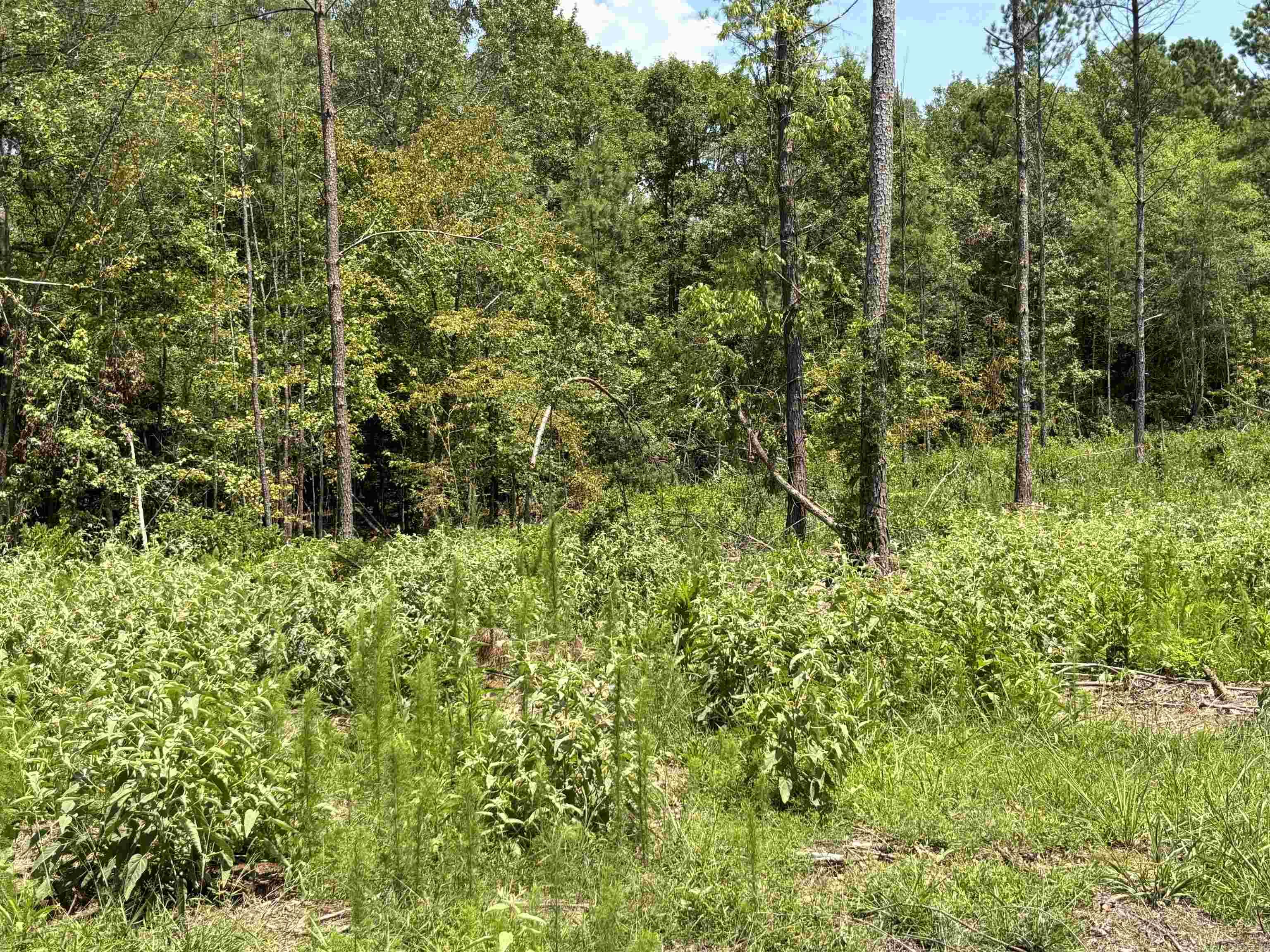 0  Grant 43 (F)  Sheridan, AR