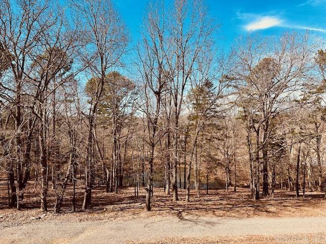 325  Wesley Chaple Rd  Quitman, AR