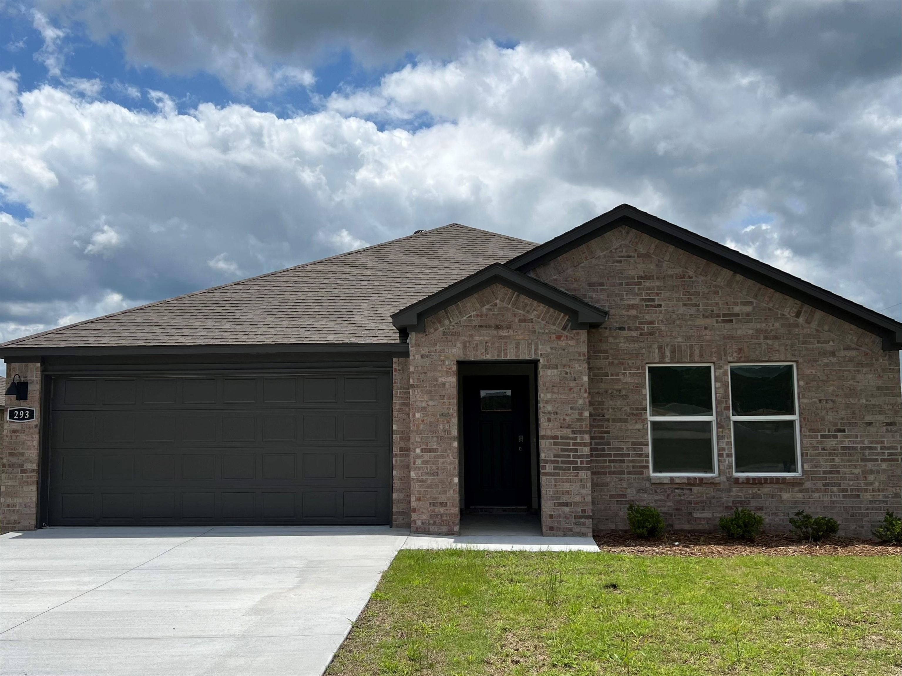 293  Alyece  Hensley, AR
