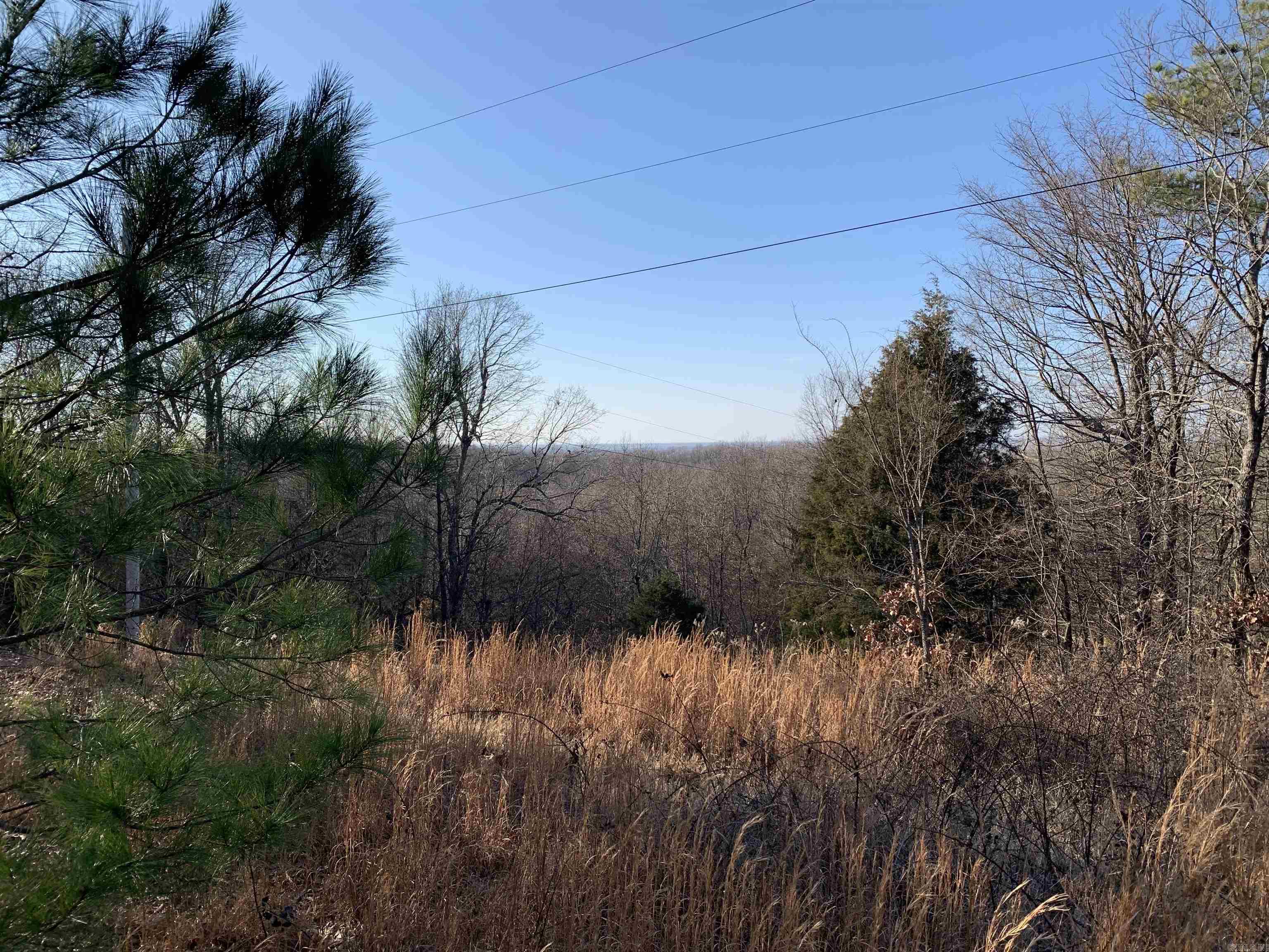 2  CR 449  Pollard, AR