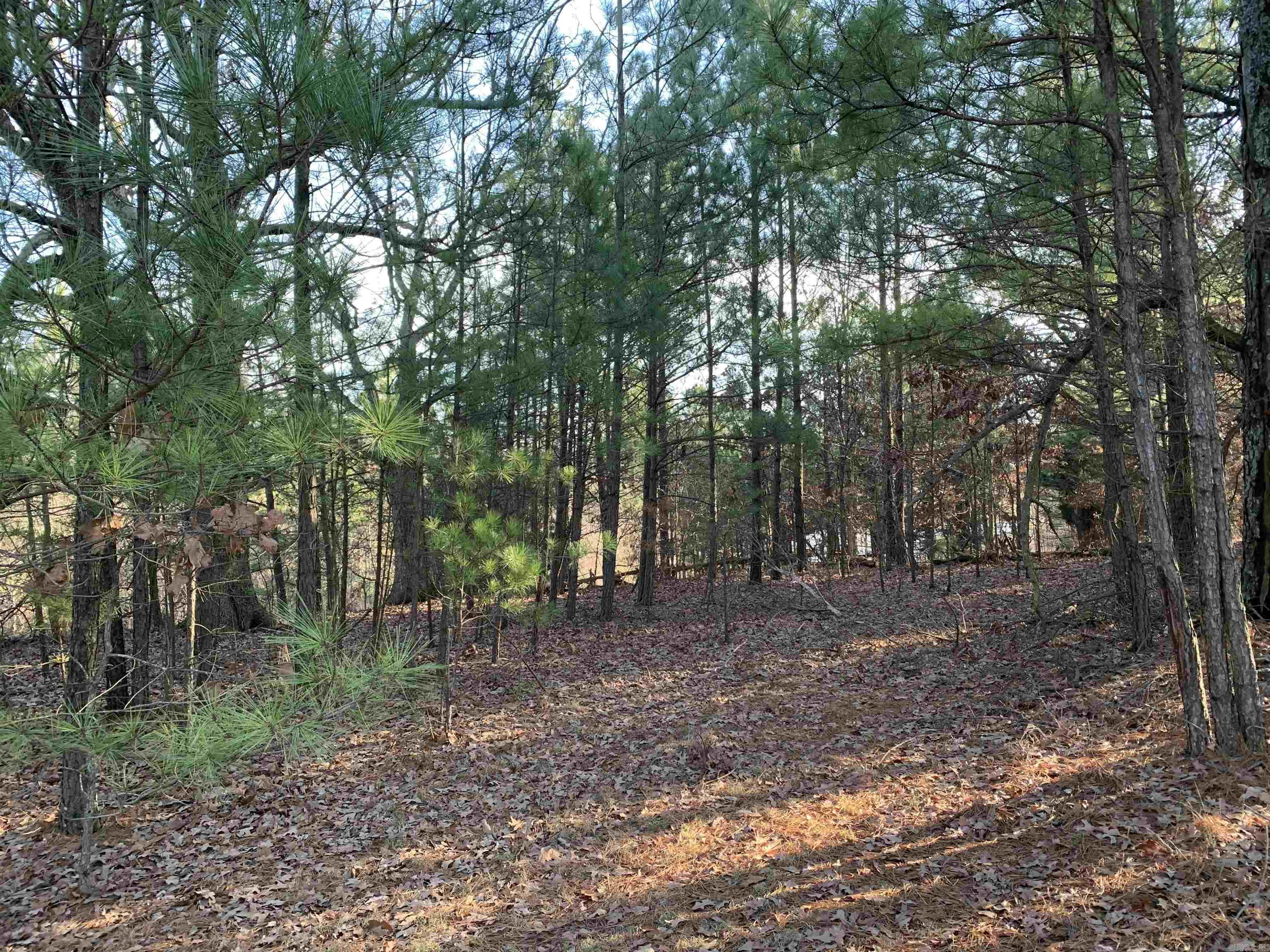 2  CR 449  Pollard, AR