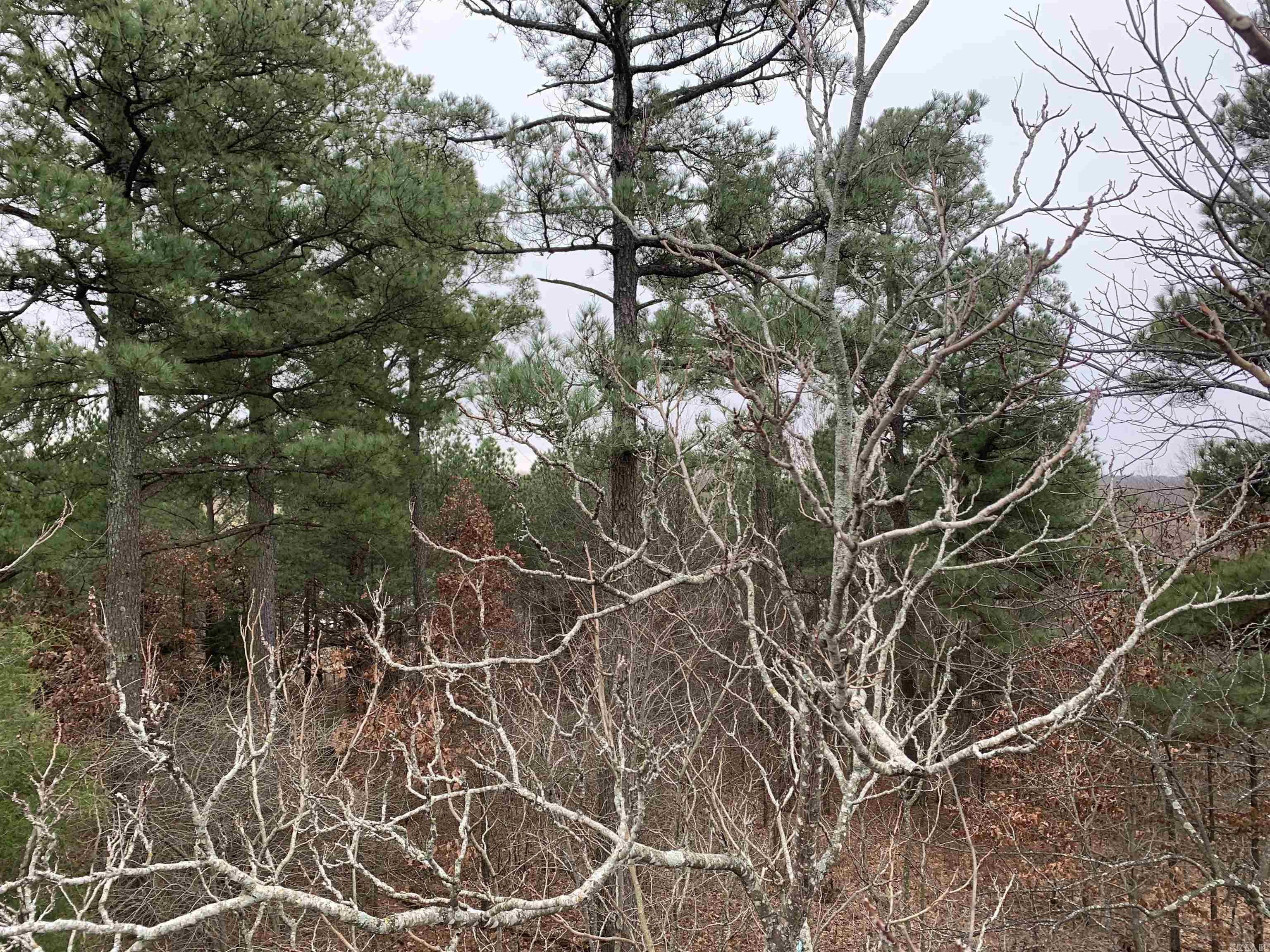 2  CR 449  Pollard, AR