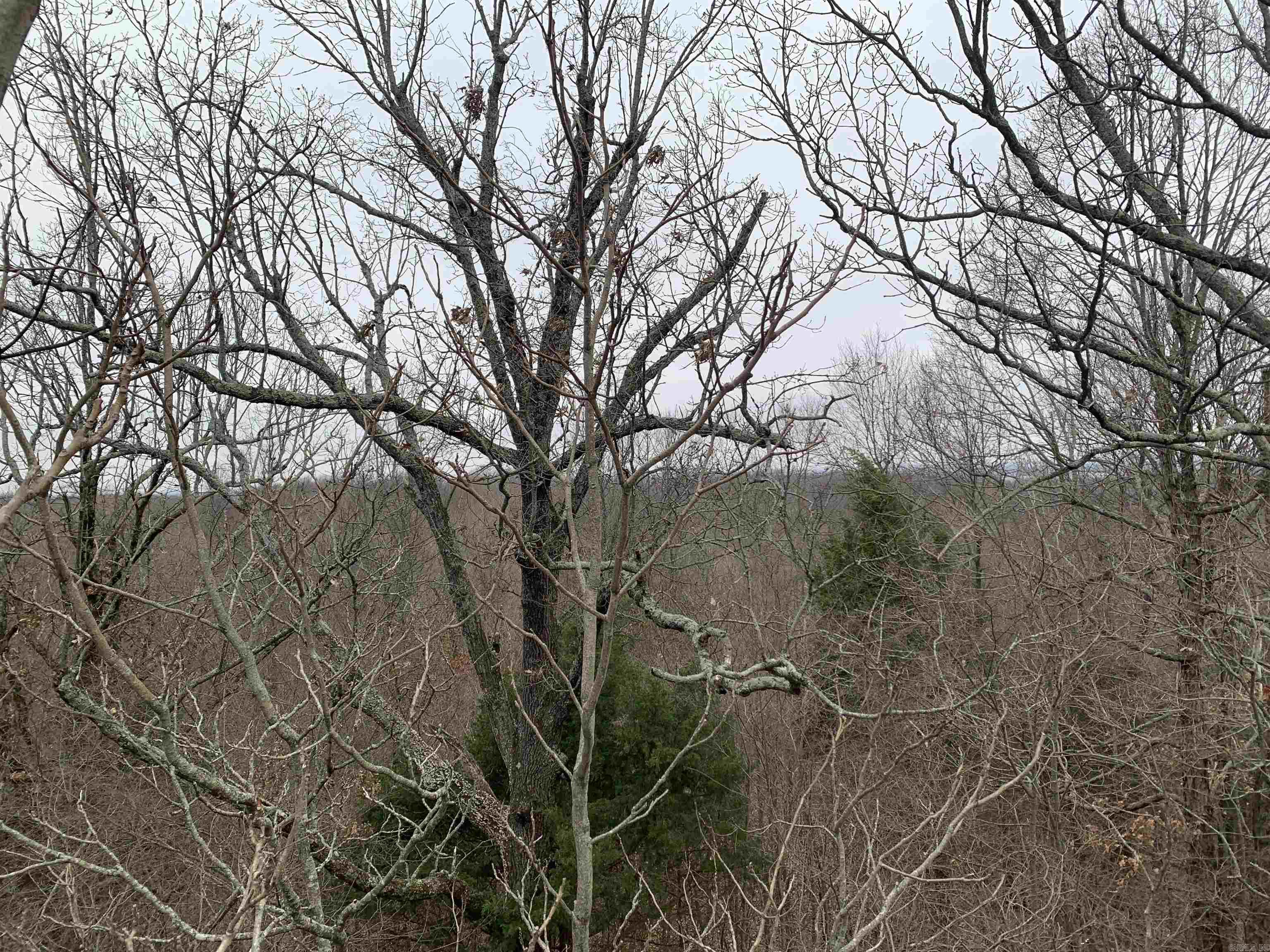 2  CR 449  Pollard, AR