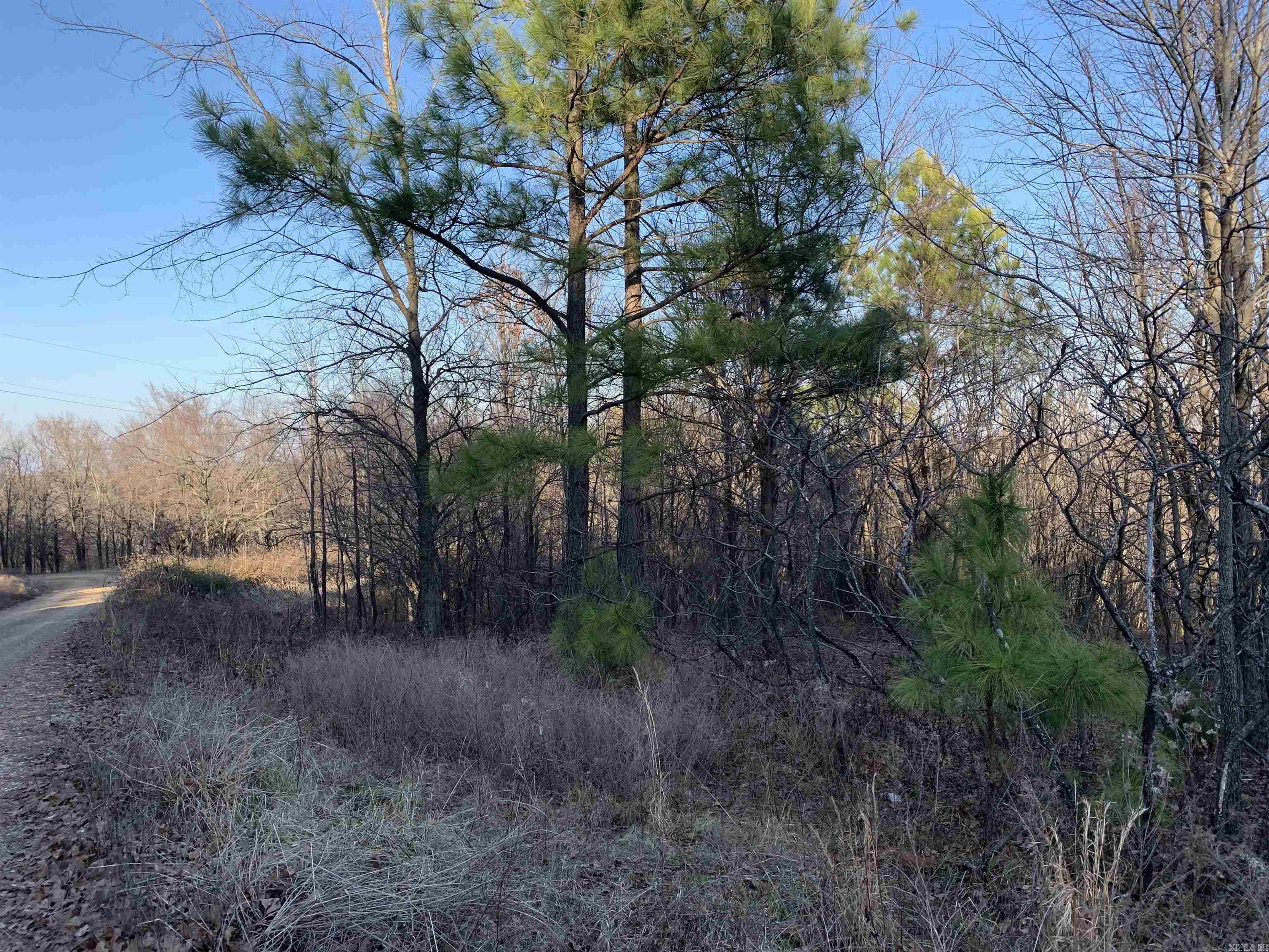 2  CR 449  Pollard, AR