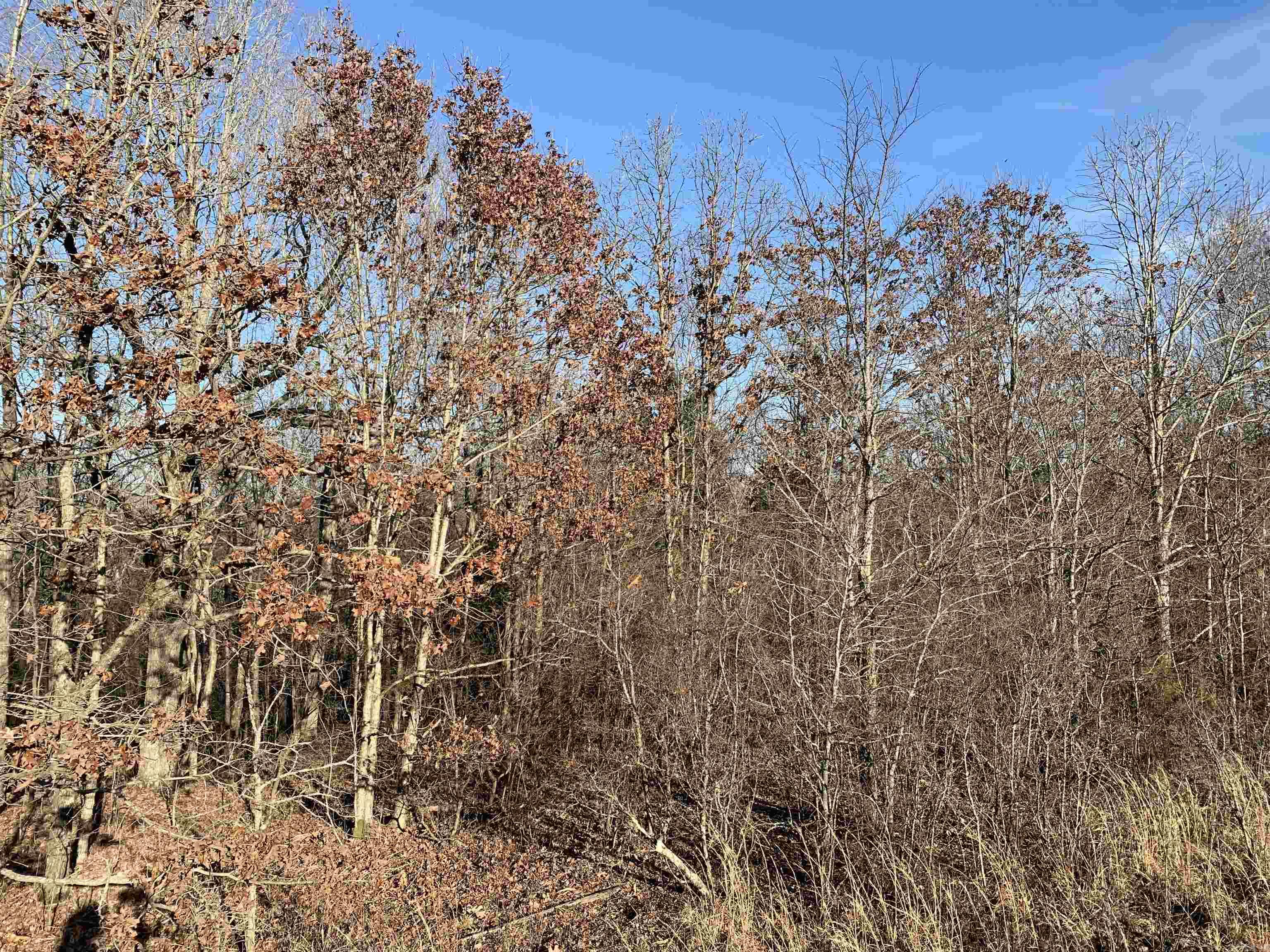 2  CR 449  Pollard, AR