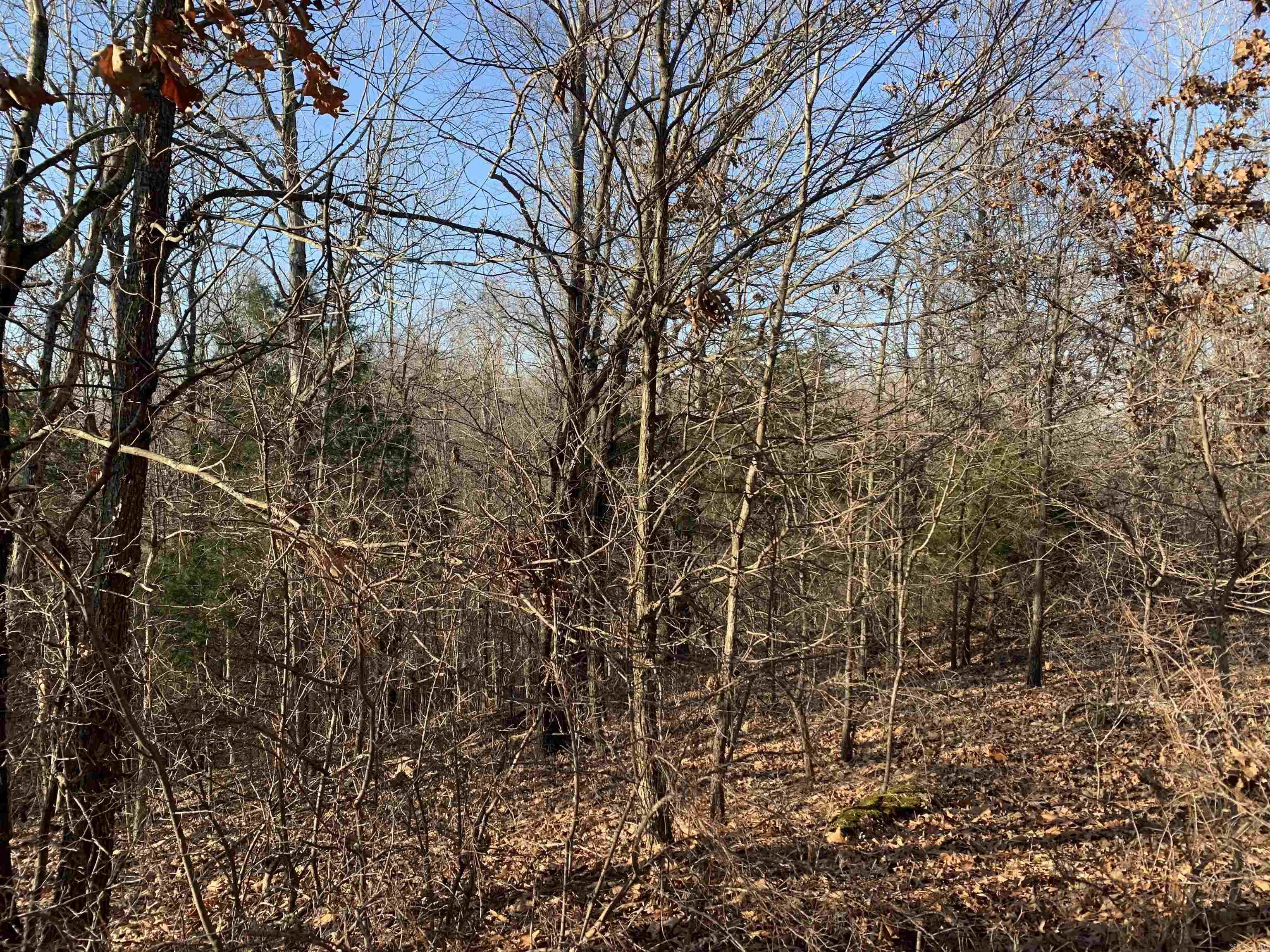 2  CR 449  Pollard, AR