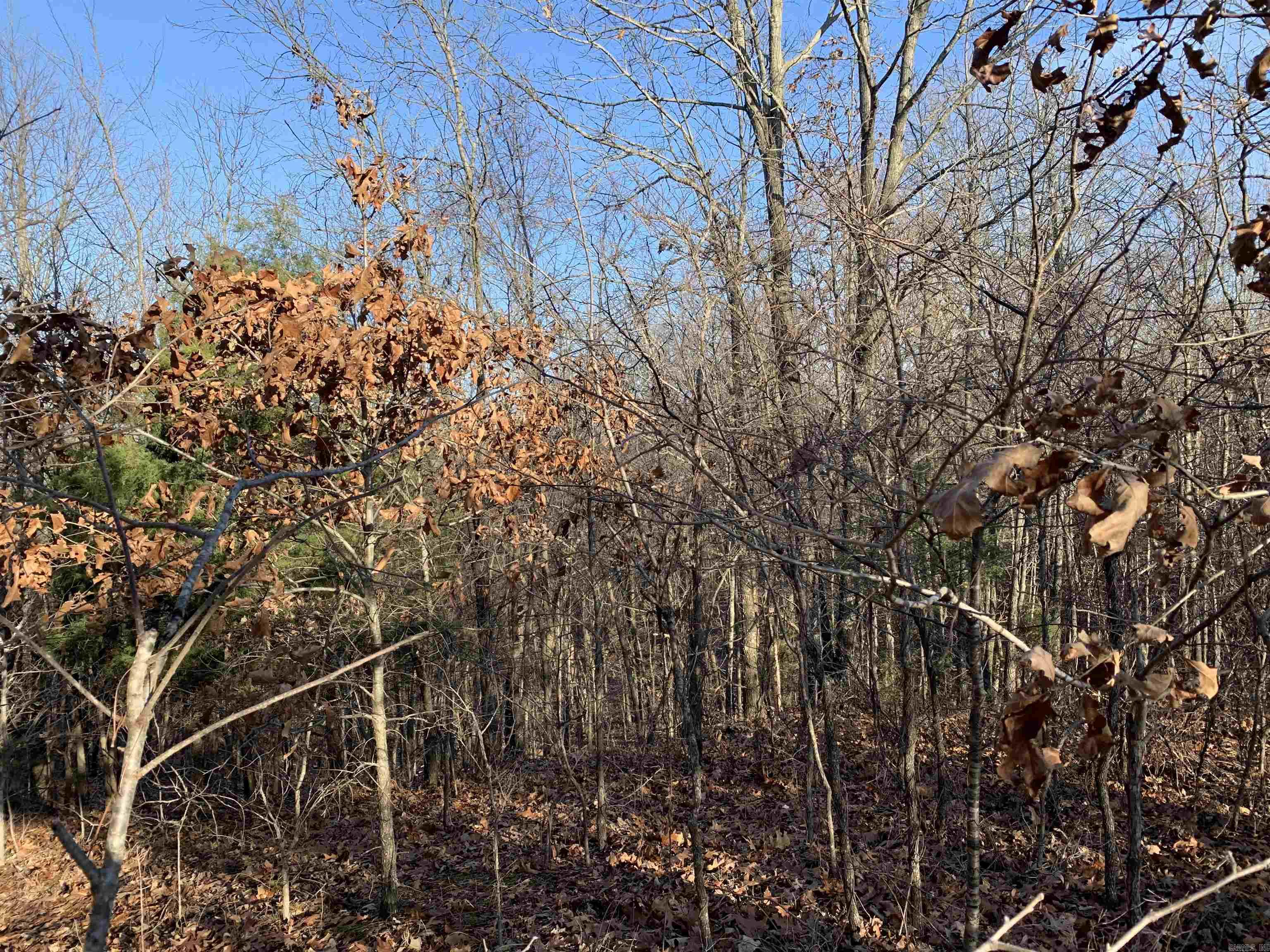 2  CR 449  Pollard, AR