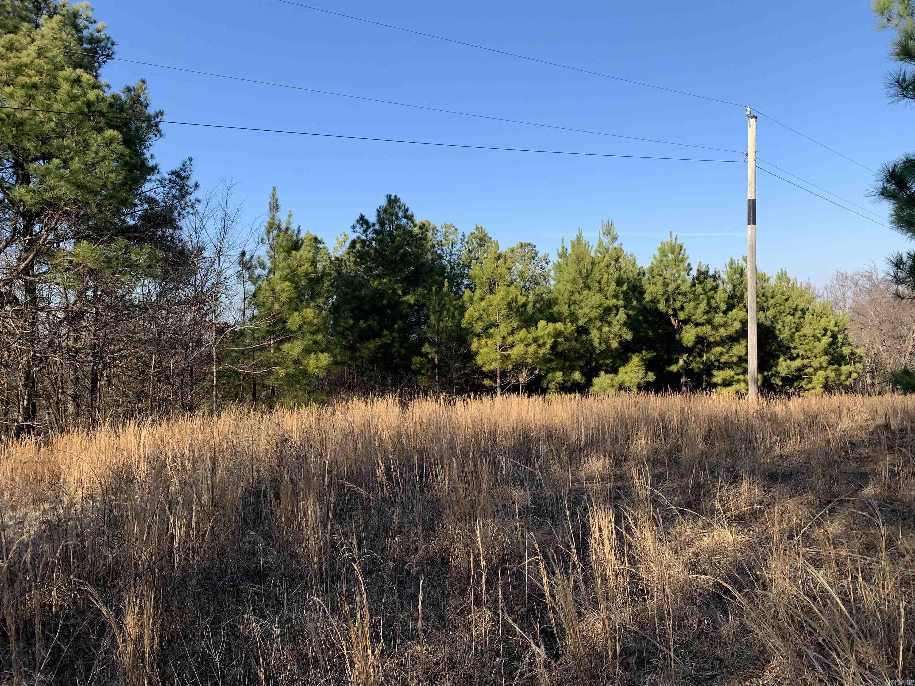 2  CR 449  Pollard, AR