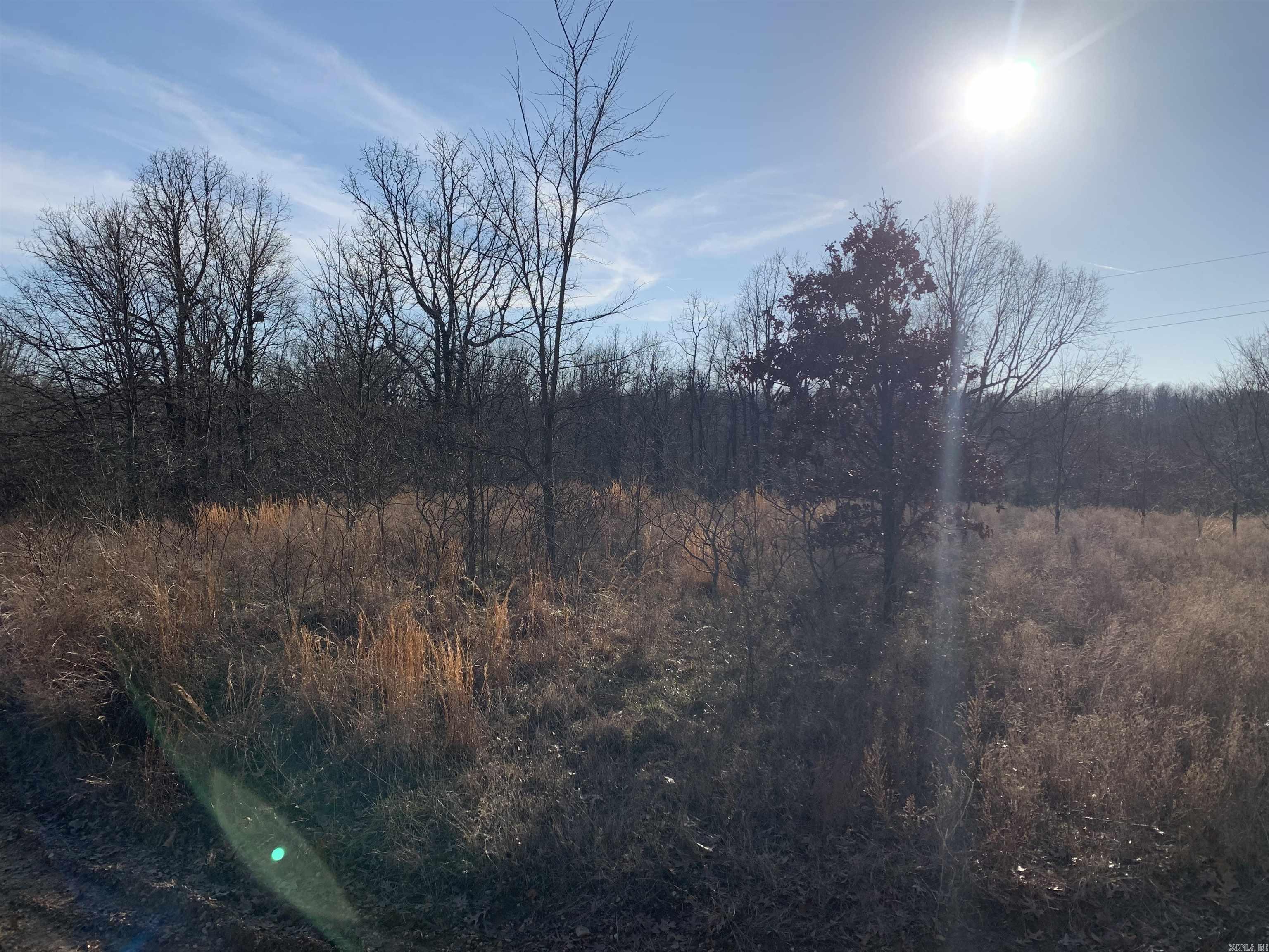 2  CR 449  Pollard, AR