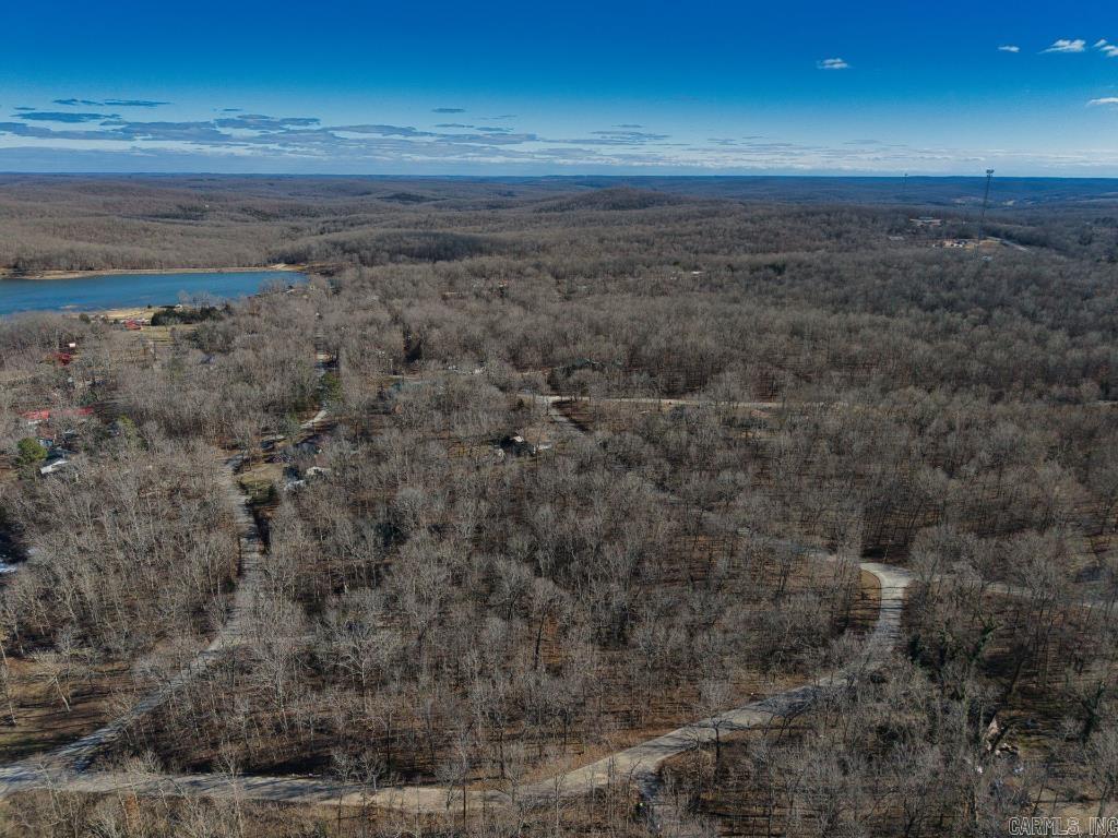 16  Buckskin Pass  Williford, AR