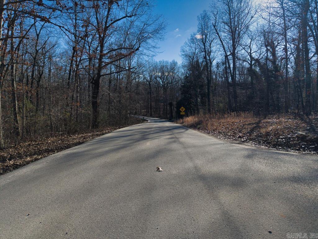 16  Buckskin Pass  Williford, AR