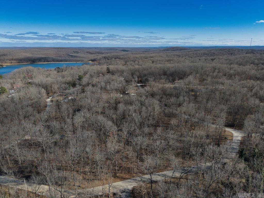 16  Buckskin Pass  Williford, AR
