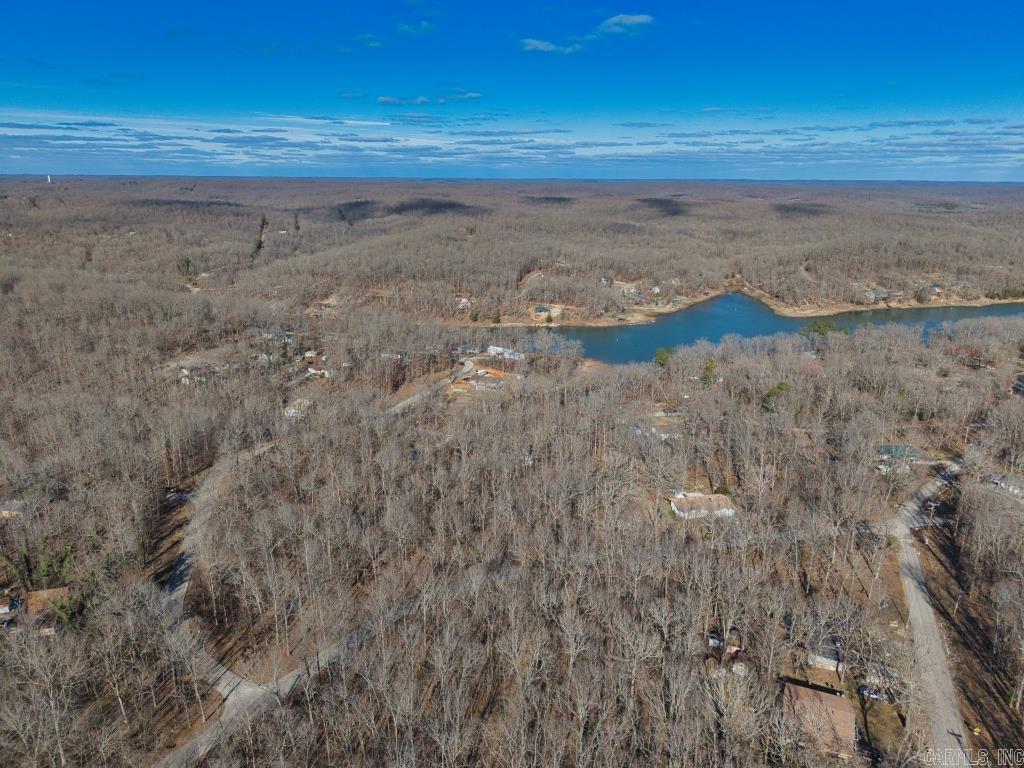 16  Buckskin Pass  Williford, AR