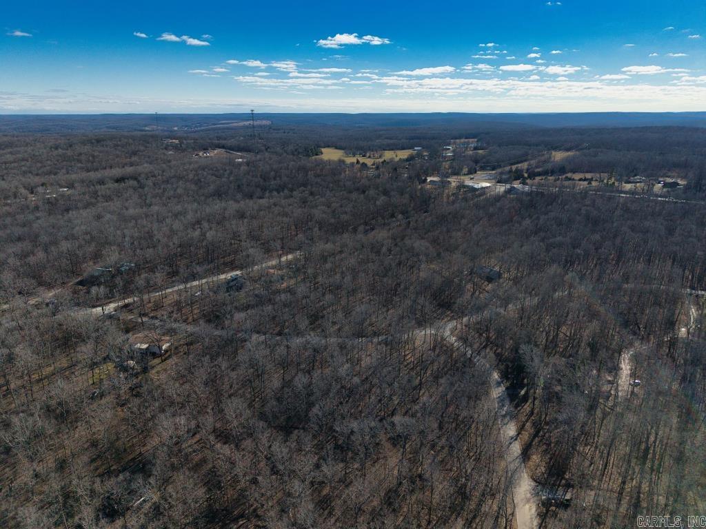 16  Buckskin Pass  Williford, AR