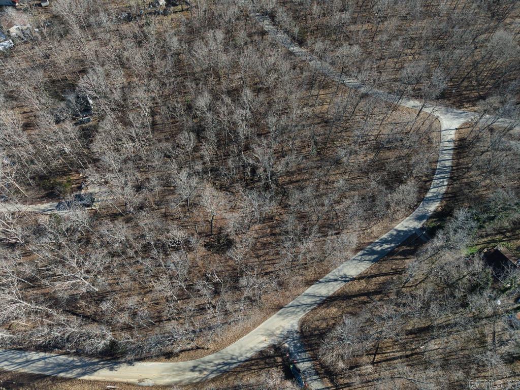 16  Buckskin Pass  Williford, AR