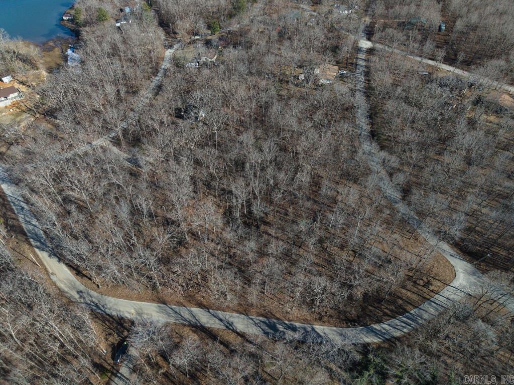 16  Buckskin Pass  Williford, AR
