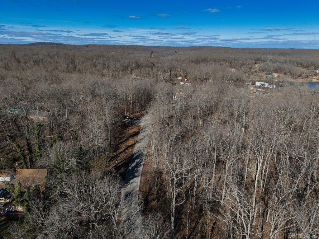 16  Buckskin Pass  Williford, AR