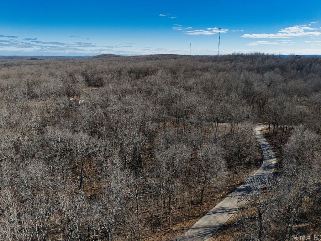 16  Buckskin Pass  Williford, AR