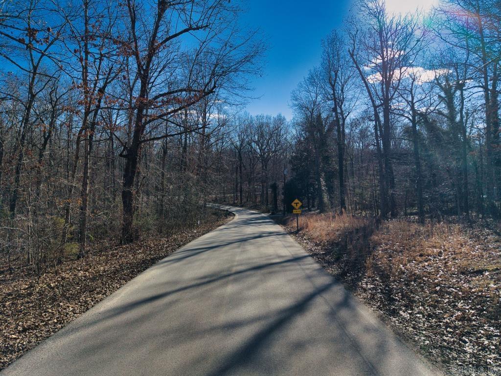 16  Buckskin Pass  Williford, AR