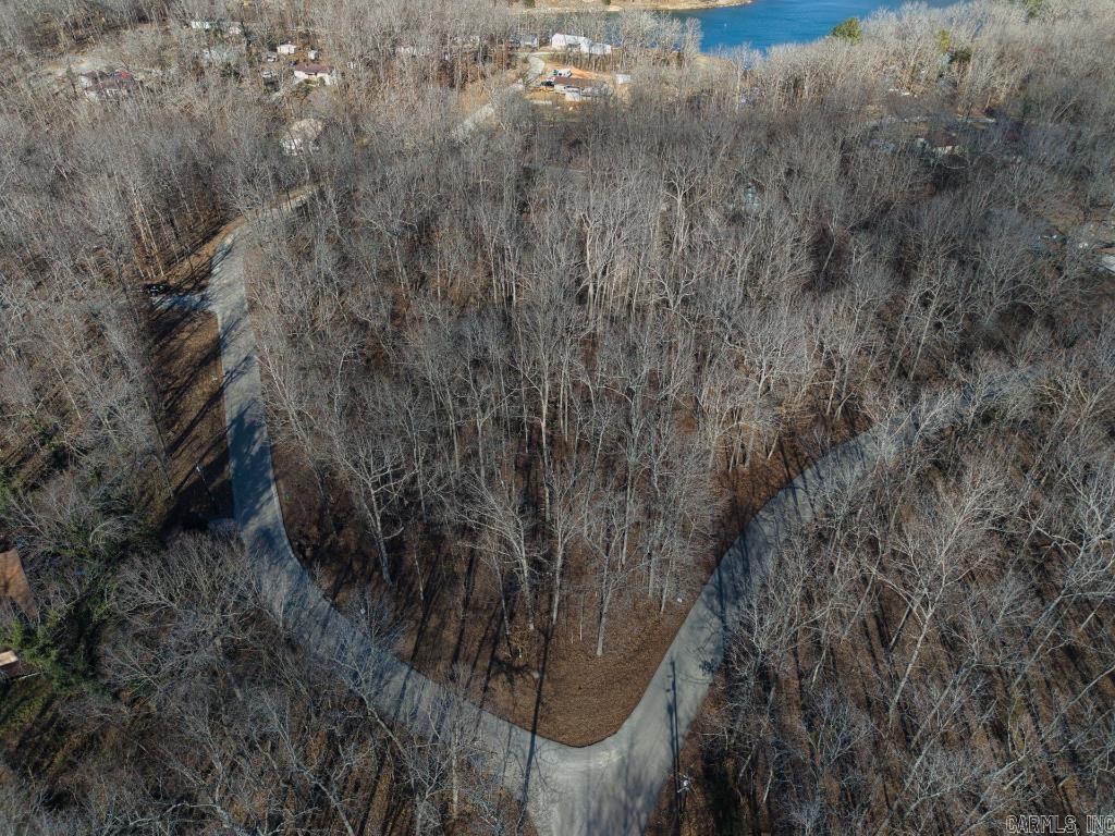 16  Buckskin Pass  Williford, AR